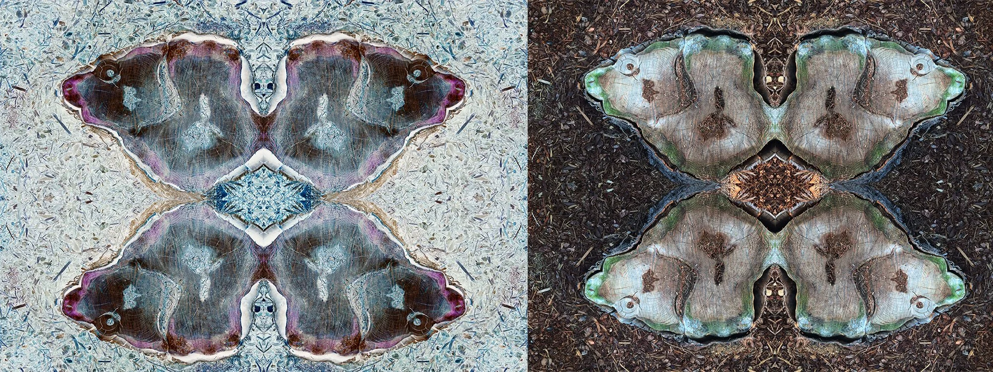 "Diptych", twin lightboxes with vellum prints