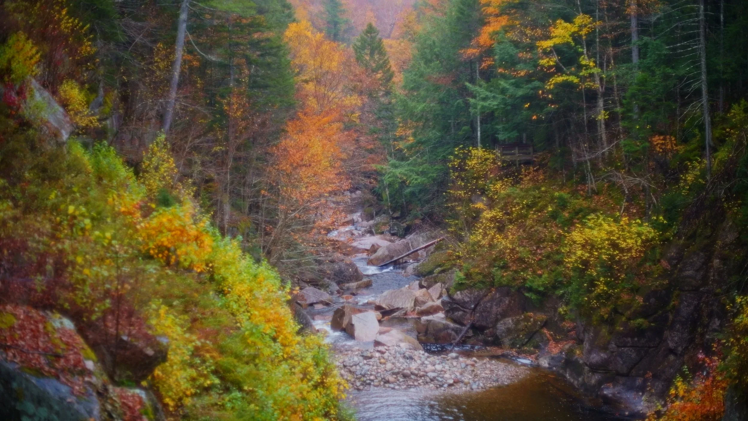 river.jpg
