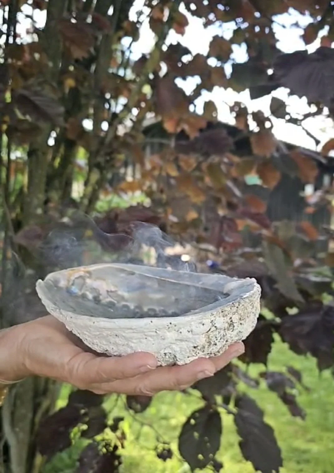 Eine Hand hält eine brennende, rauchende Schale vor einem Strauch mit dunklen Blättern im Freien.