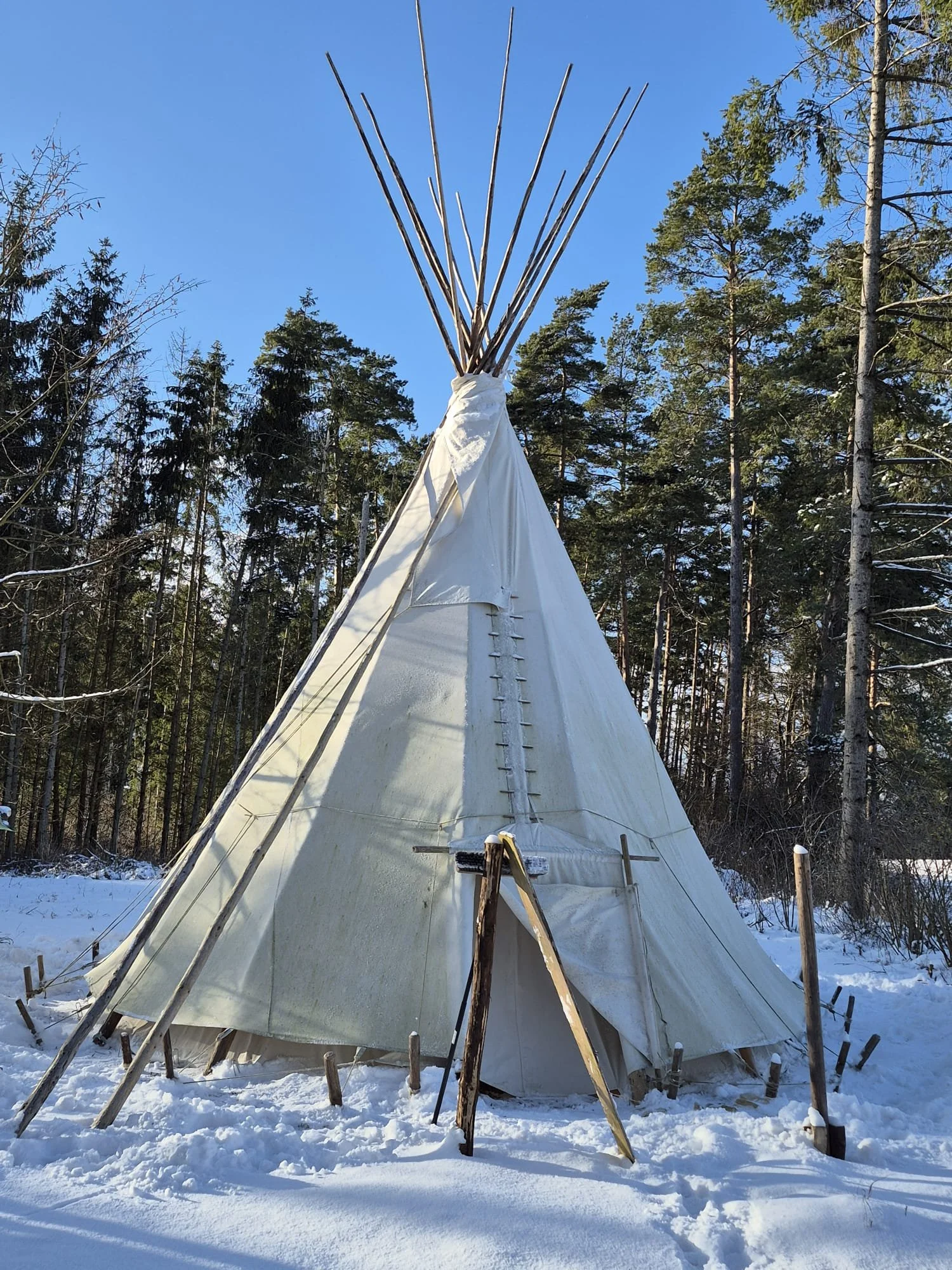 Ein Tipi im verschneiten Wald, mit Holzstöcken an der Oberseite und im Vordergrund mit Werkzeugen. Der Himmel ist klar und blau.