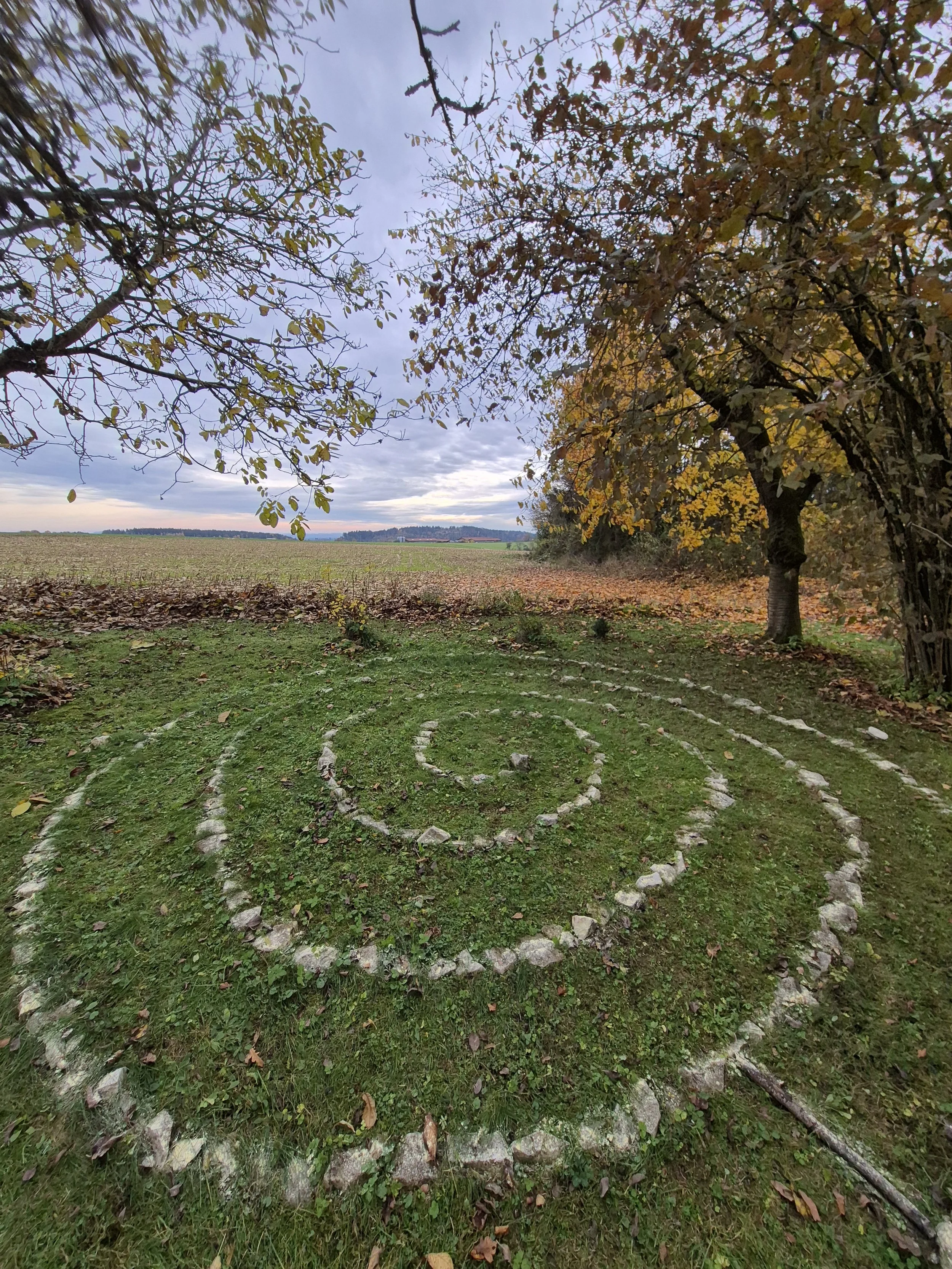 Herbstlicher Park mit einem Spiral aus Steinen im Gras, Bäume mit gelben Blättern, bewölkter Himmel im Hintergrund.