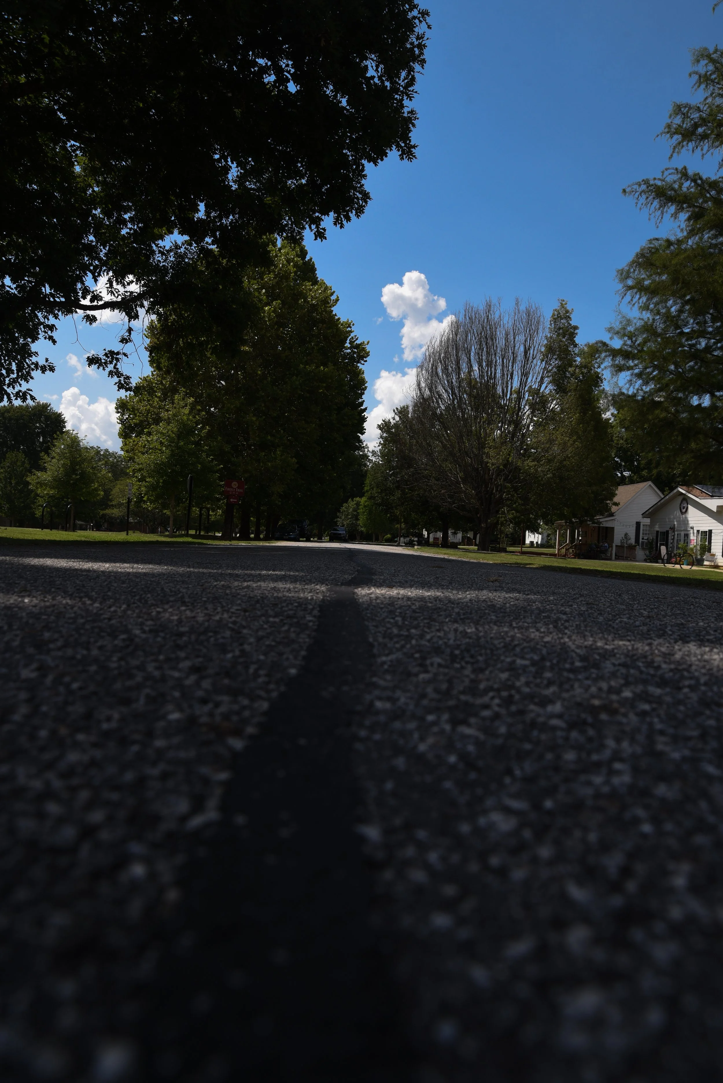 winterville_road.jpg