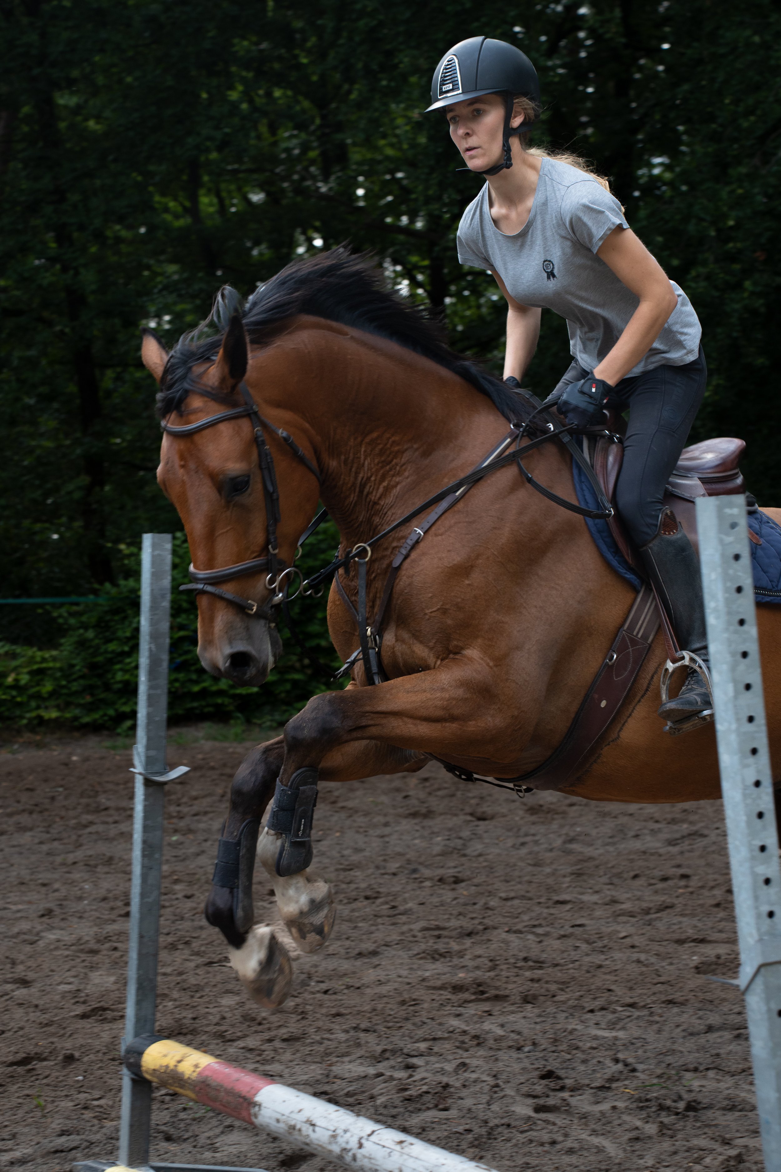 LMF06037-2.jpg