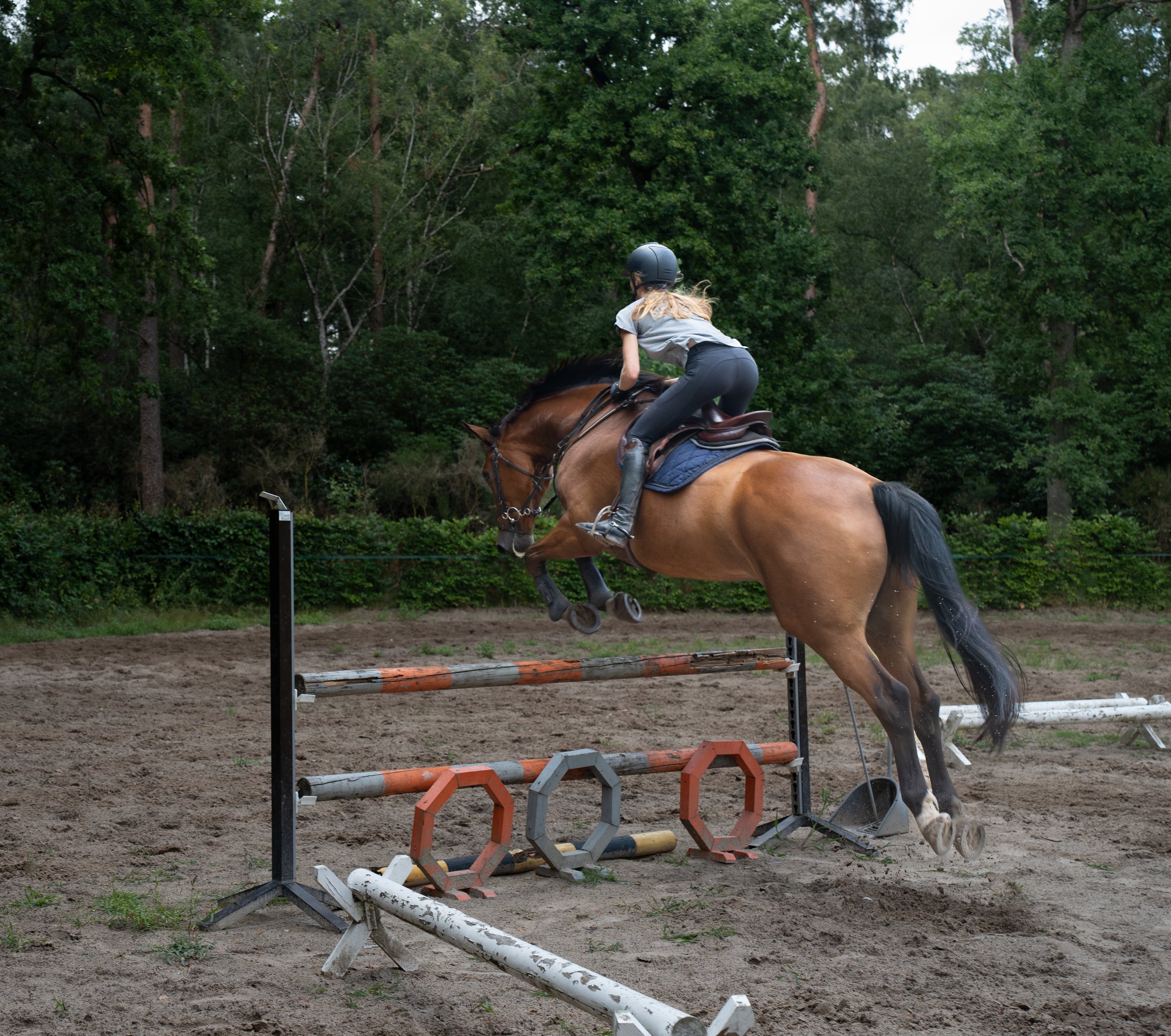 LMF06022-2.jpg