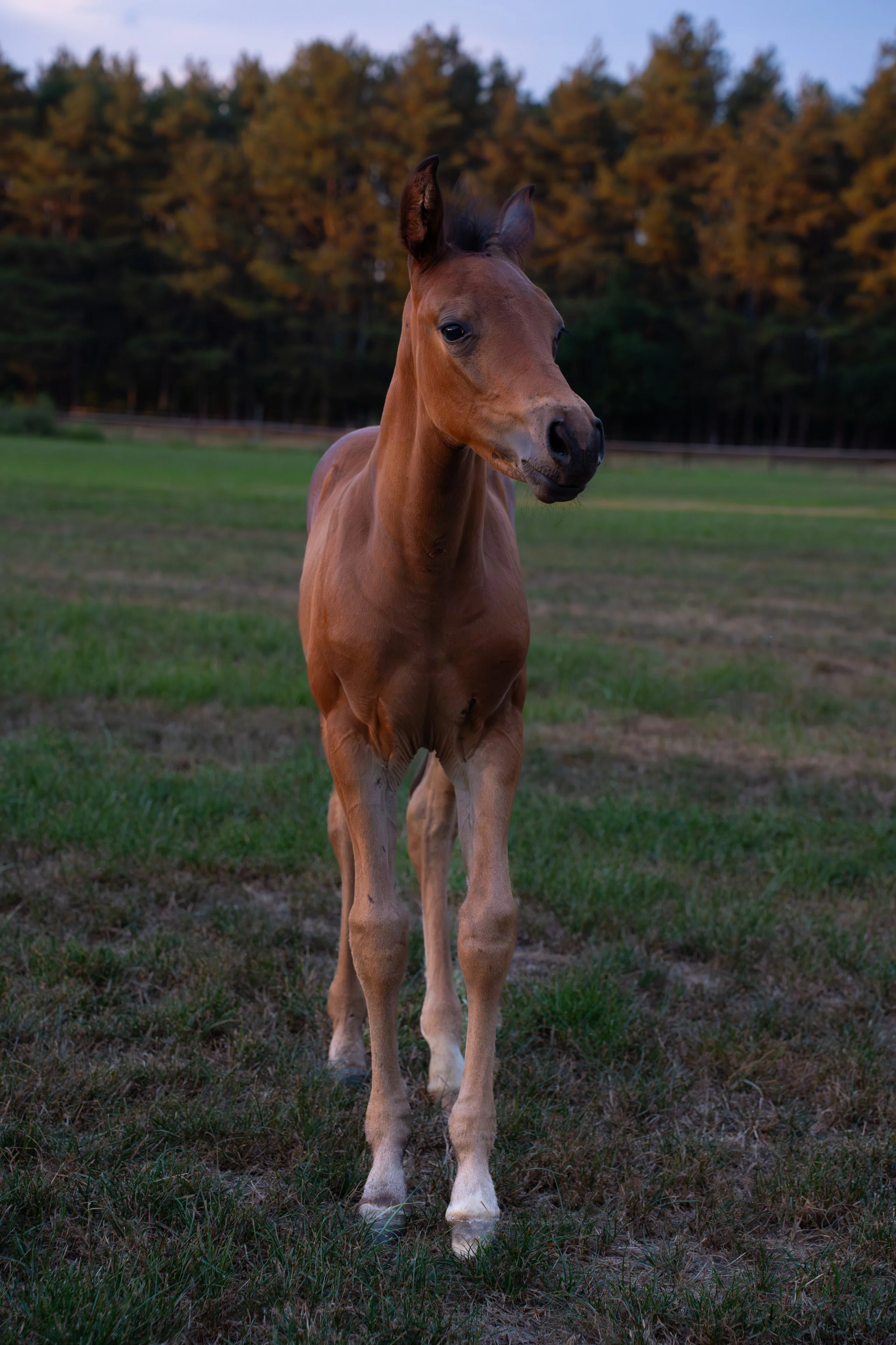 LMF07503.jpg