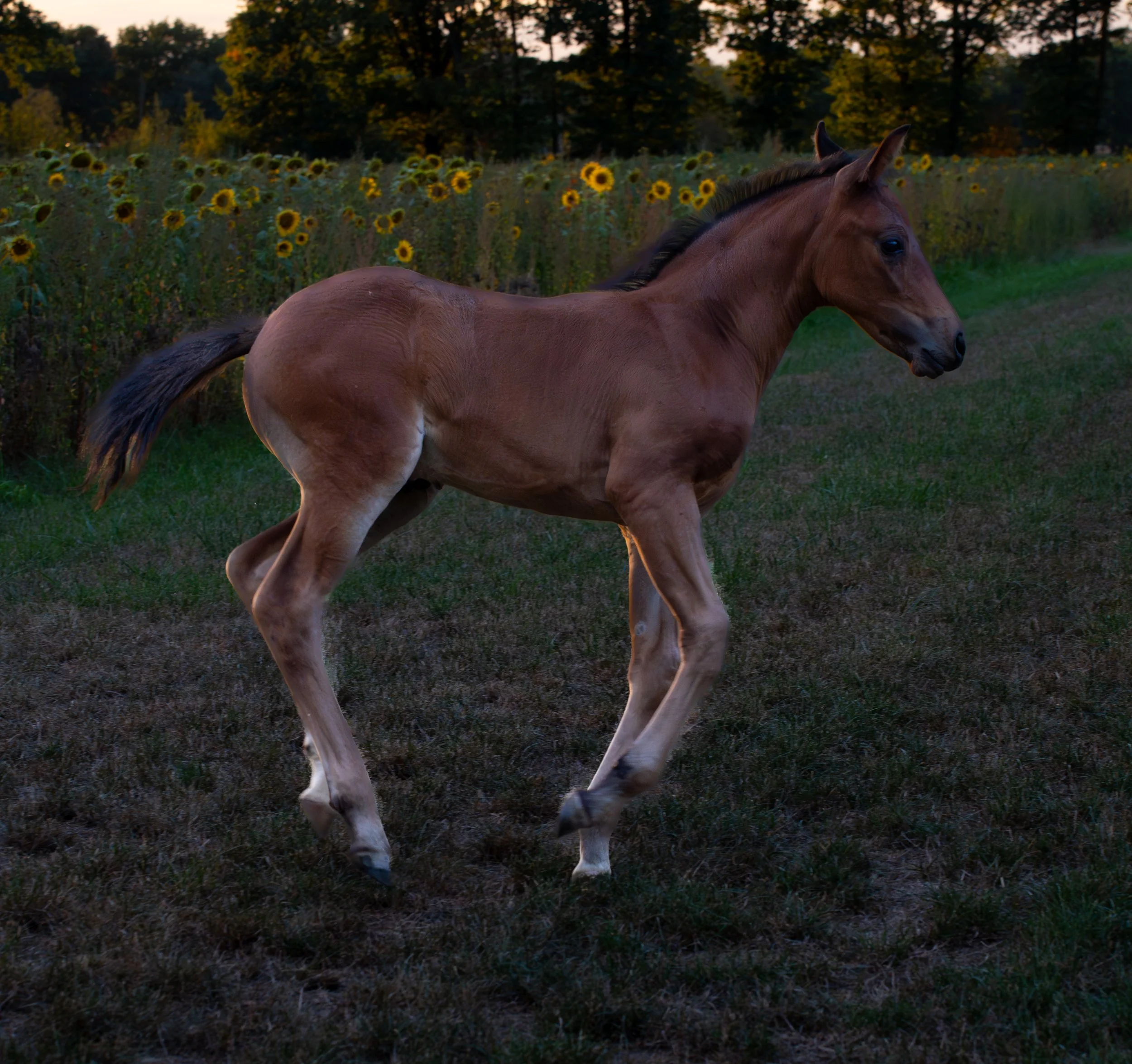 LMF07389.jpg