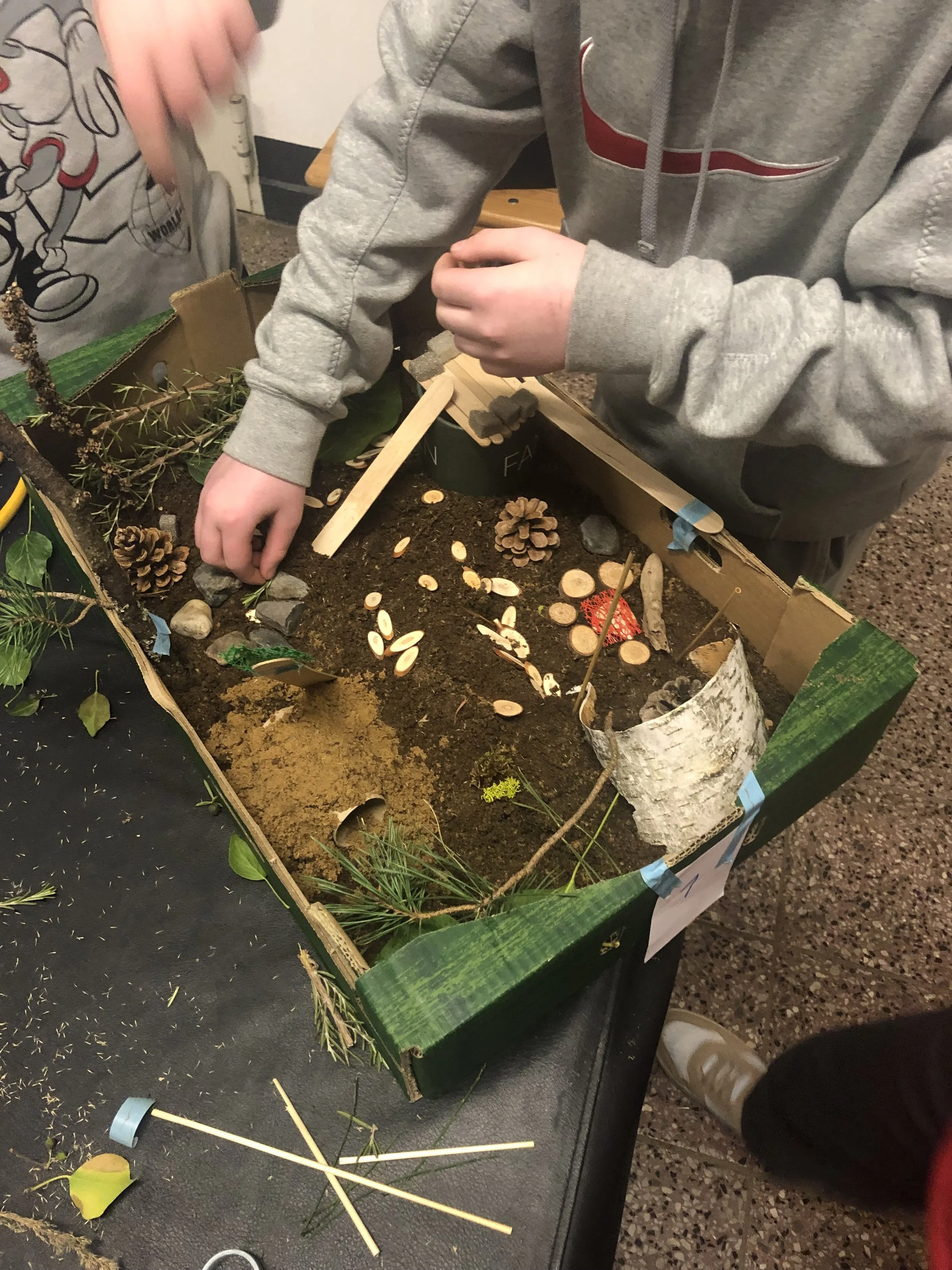 Natur-Erlebnis-Schulhof an der 128. Oberschule "Carola von Wasa" Dresden