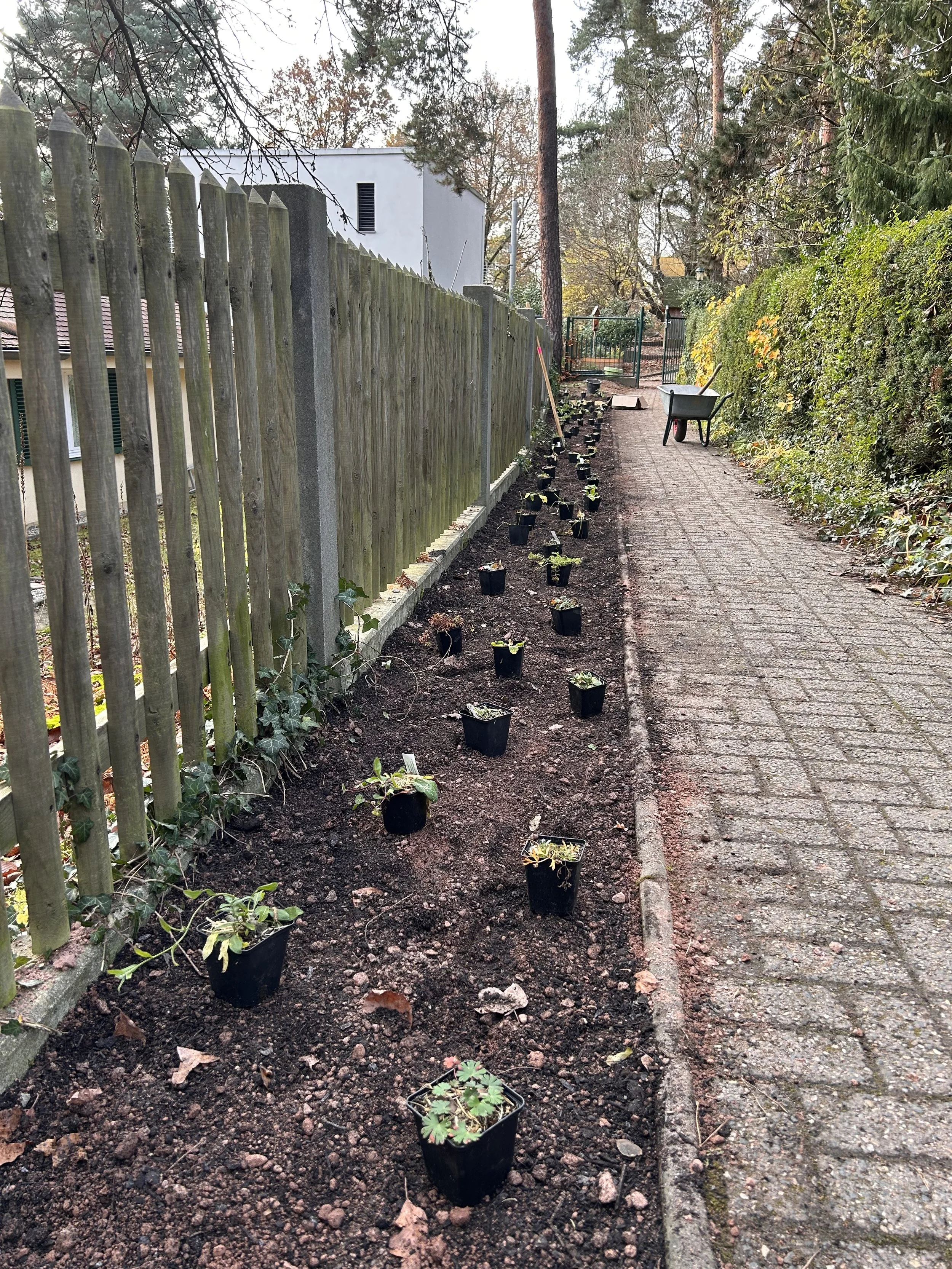 Kita Tännichtweg Dresden - 45 m Blühendes Hallo!