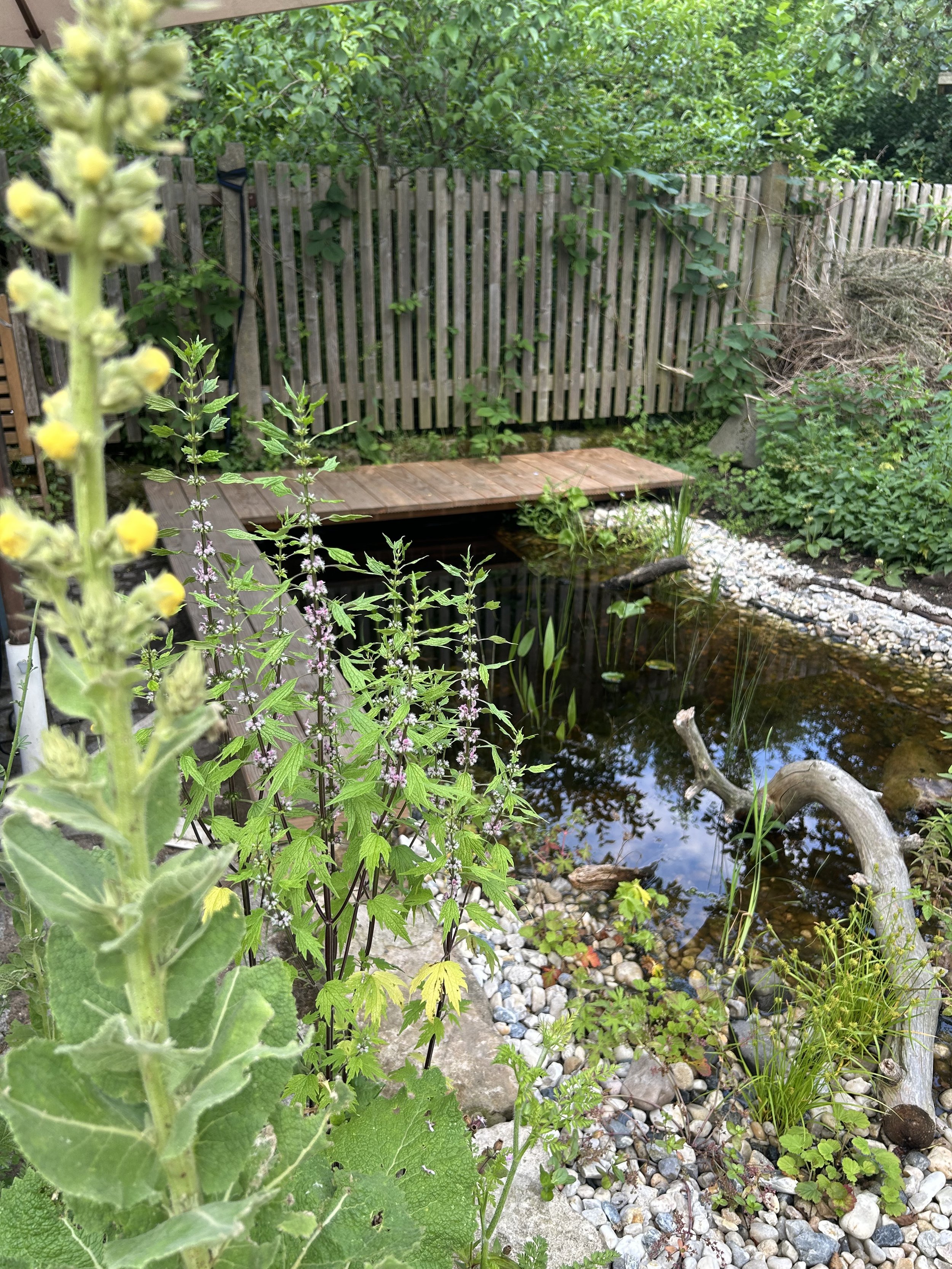 IMG_7566.jpeg