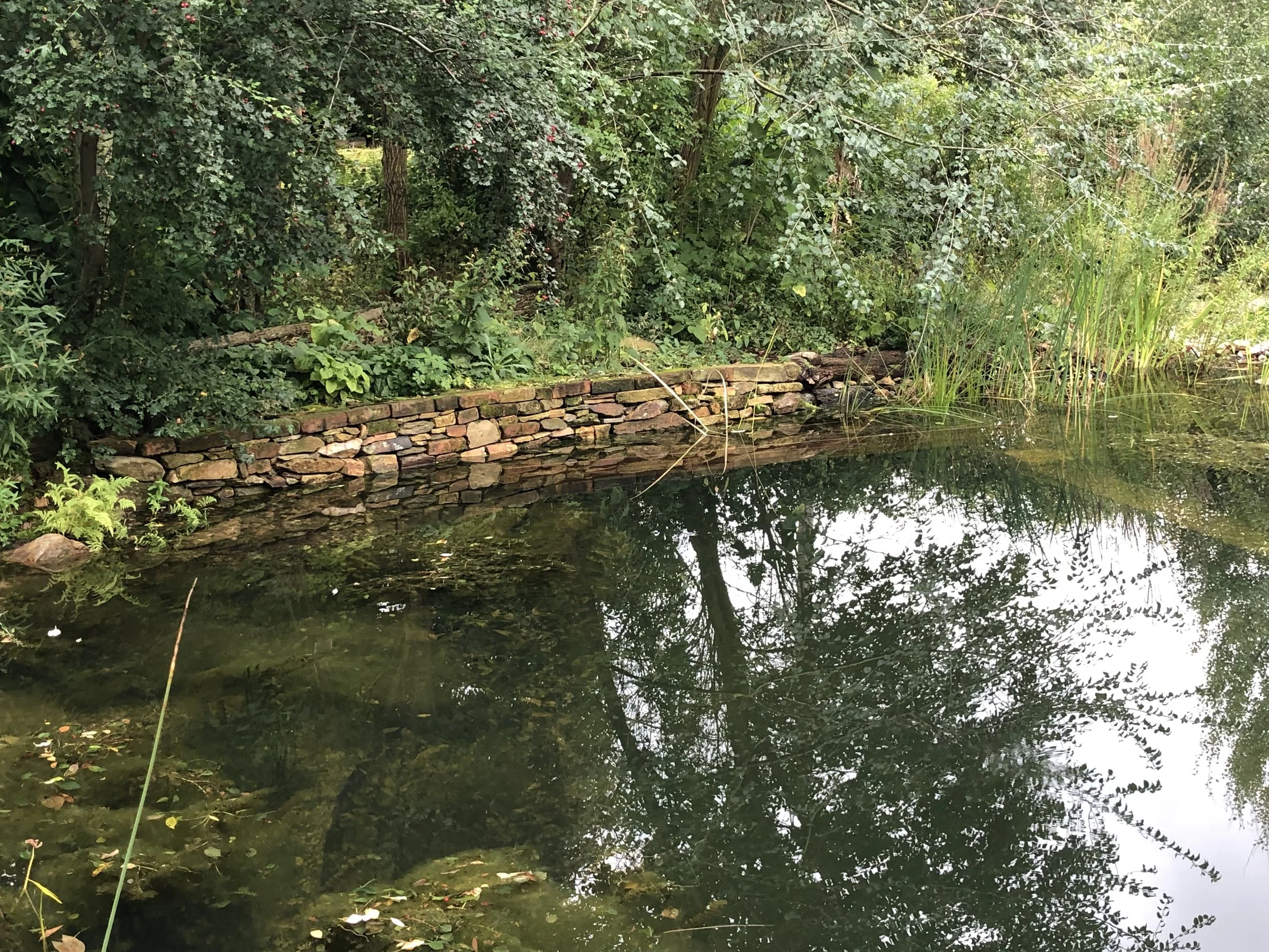 Mitarbeit Naturbadeteich Brand-Erbisdorf/ Sachsen