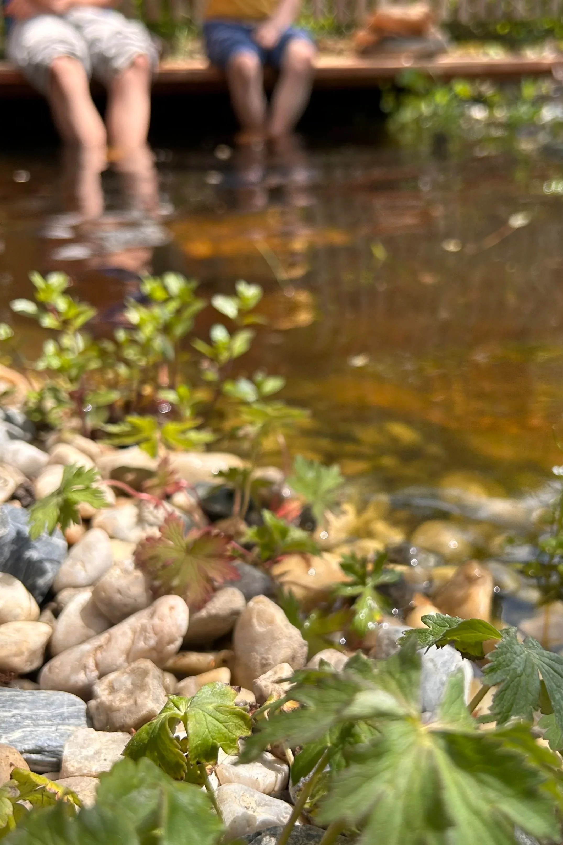 Biotopteich