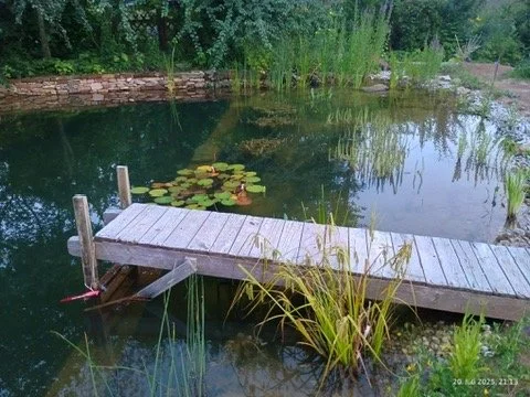 Mitarbeit Naturbadeteich Brand-Erbisdorf/ Sachsen