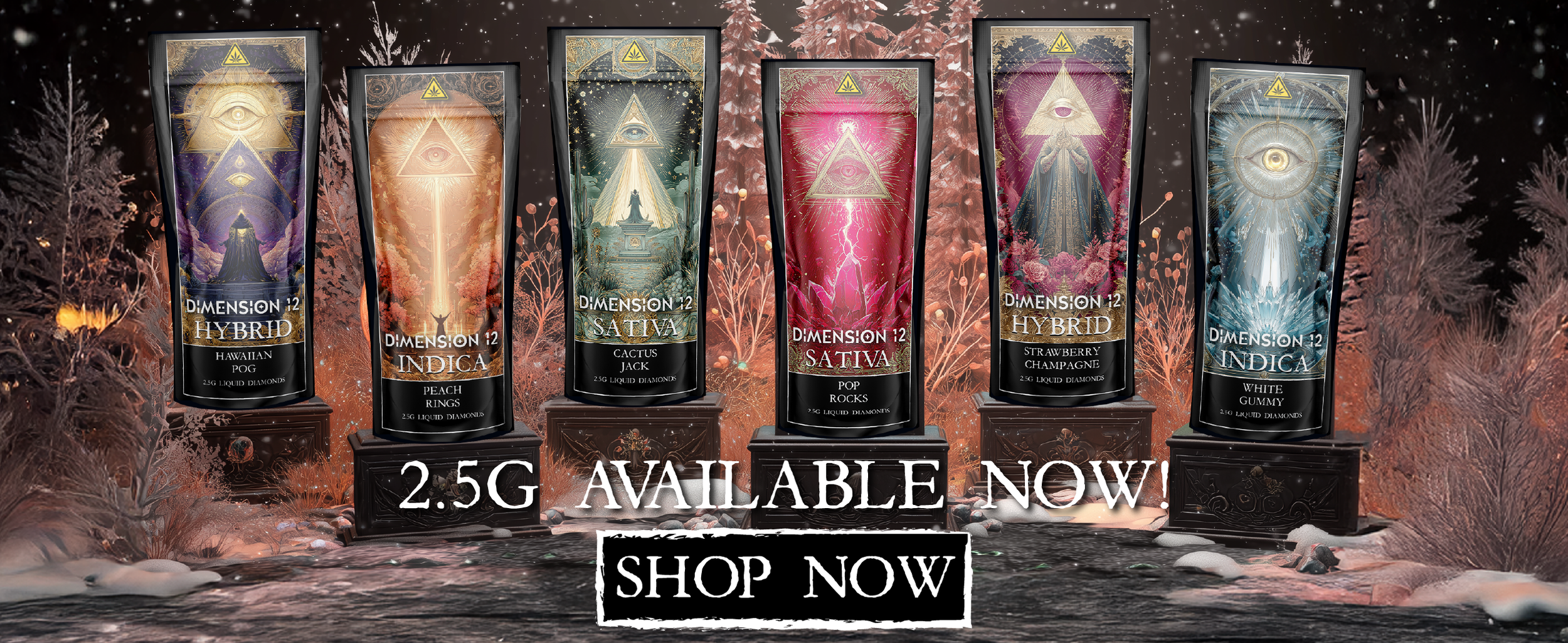 2g Device banner- Xmas.png