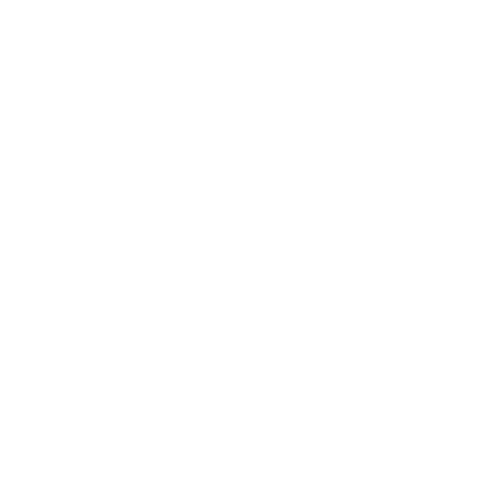 Checklist icon with two checkmarks and three lines of text.
