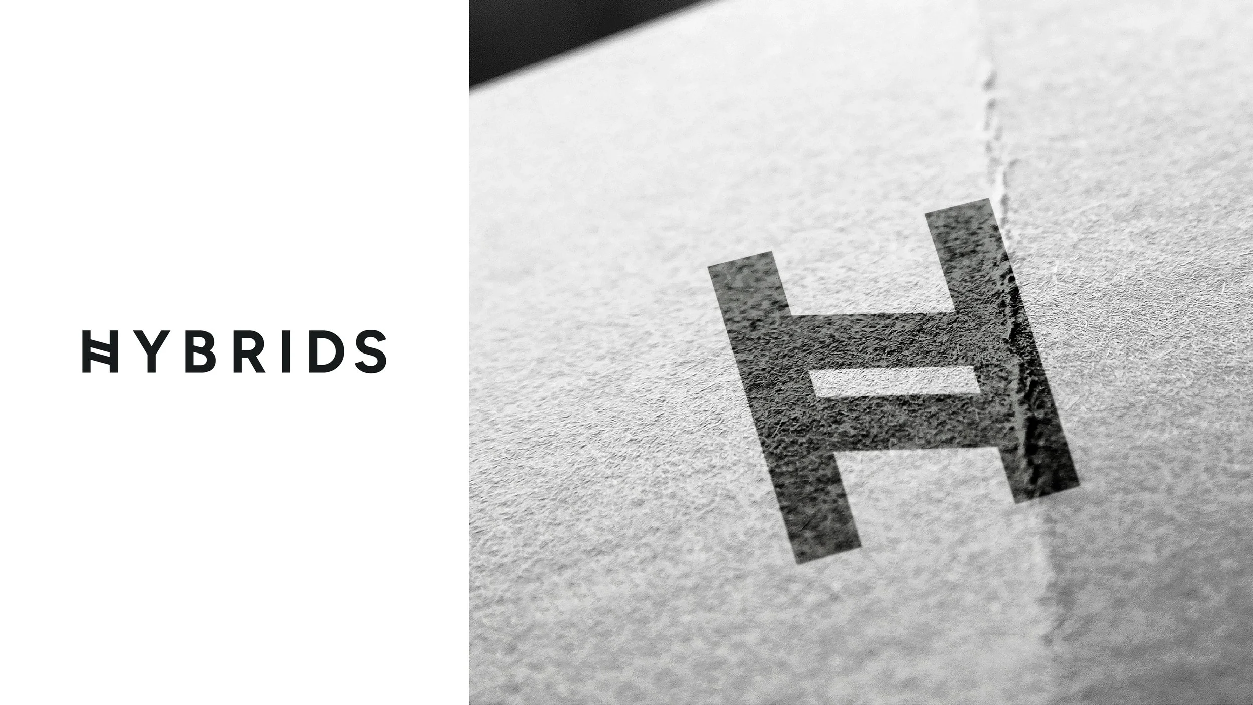 Hybrids za sajt 01.jpg