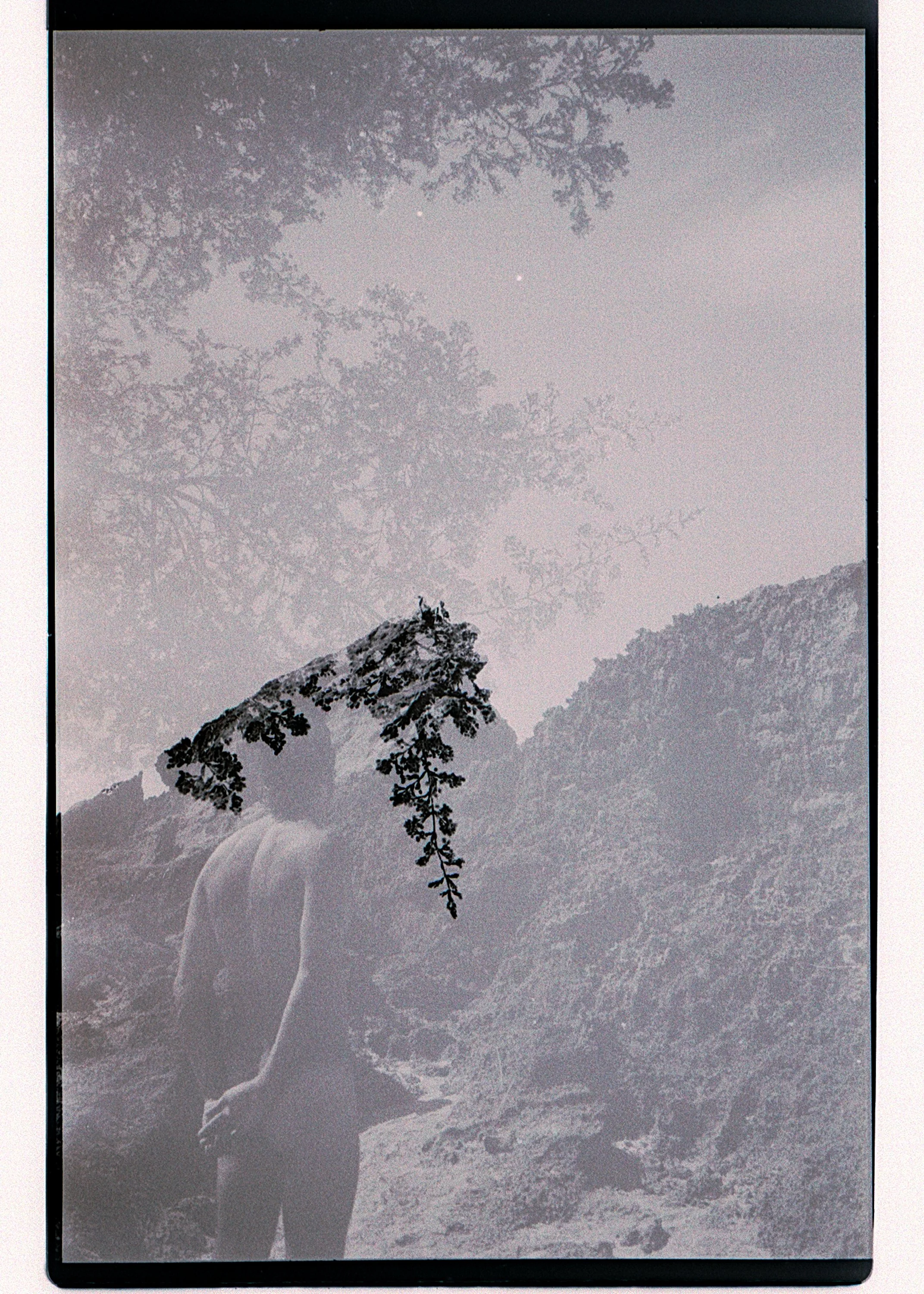 black and white film scans-35.jpg