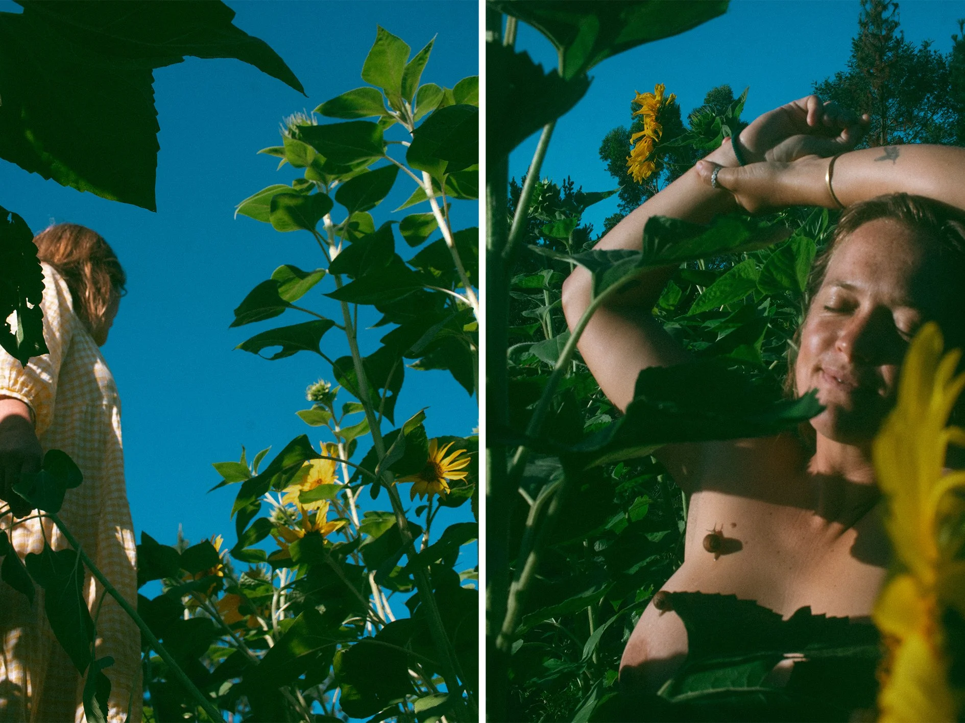 Layla Sunflowers_10.jpg