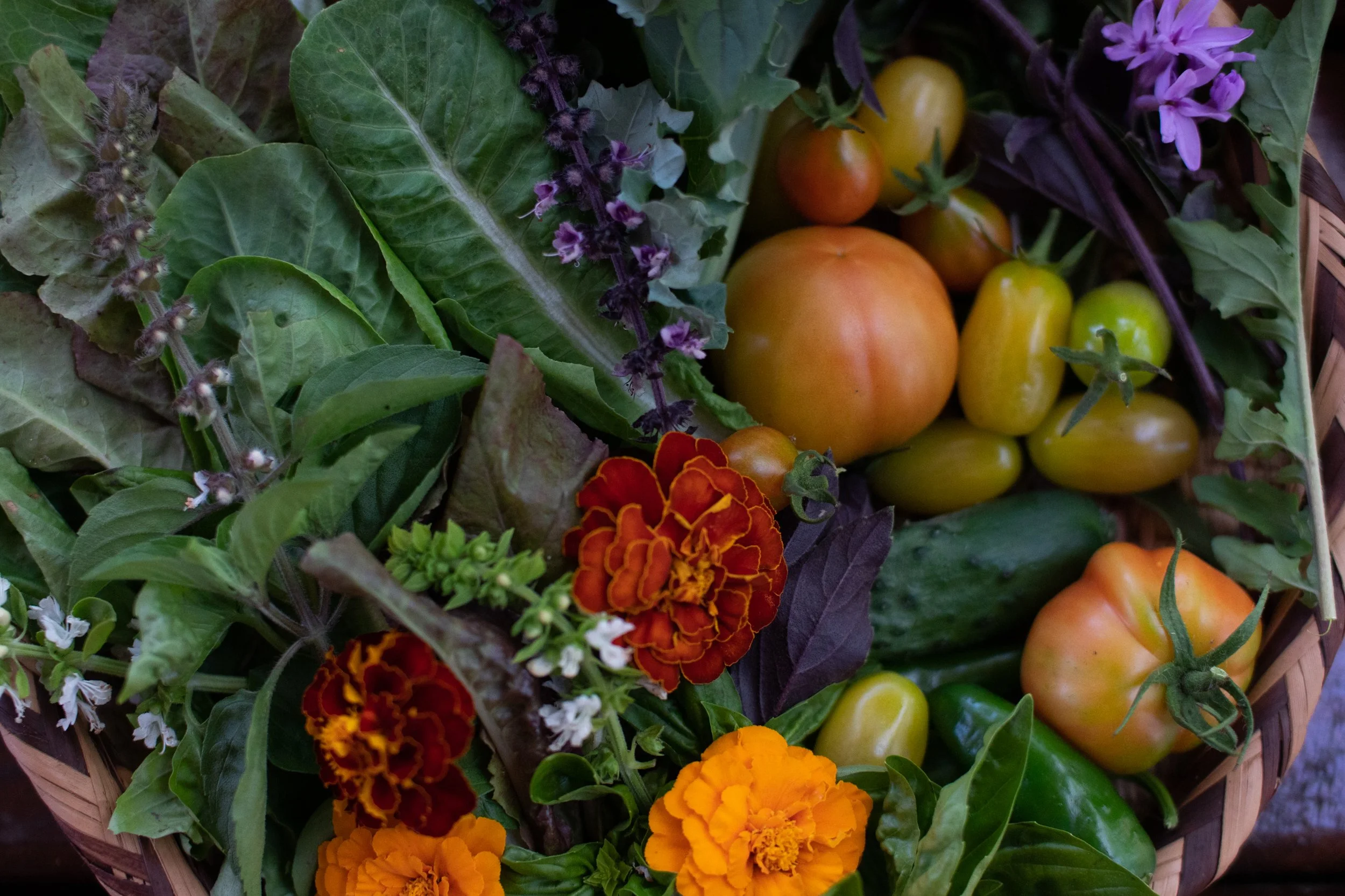 wanderlust kitchen-6.jpg
