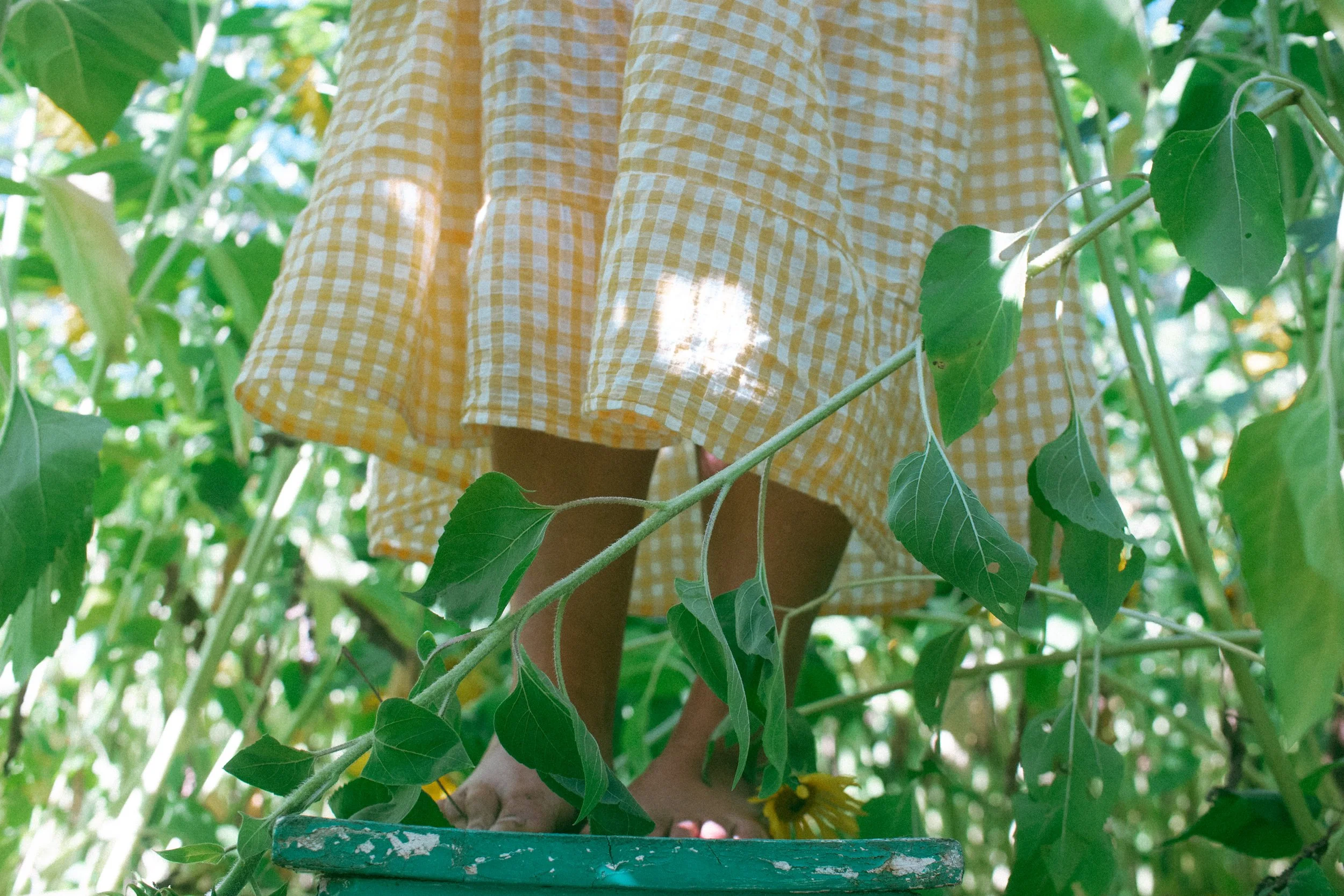 Layla Sunflowers-186.jpg