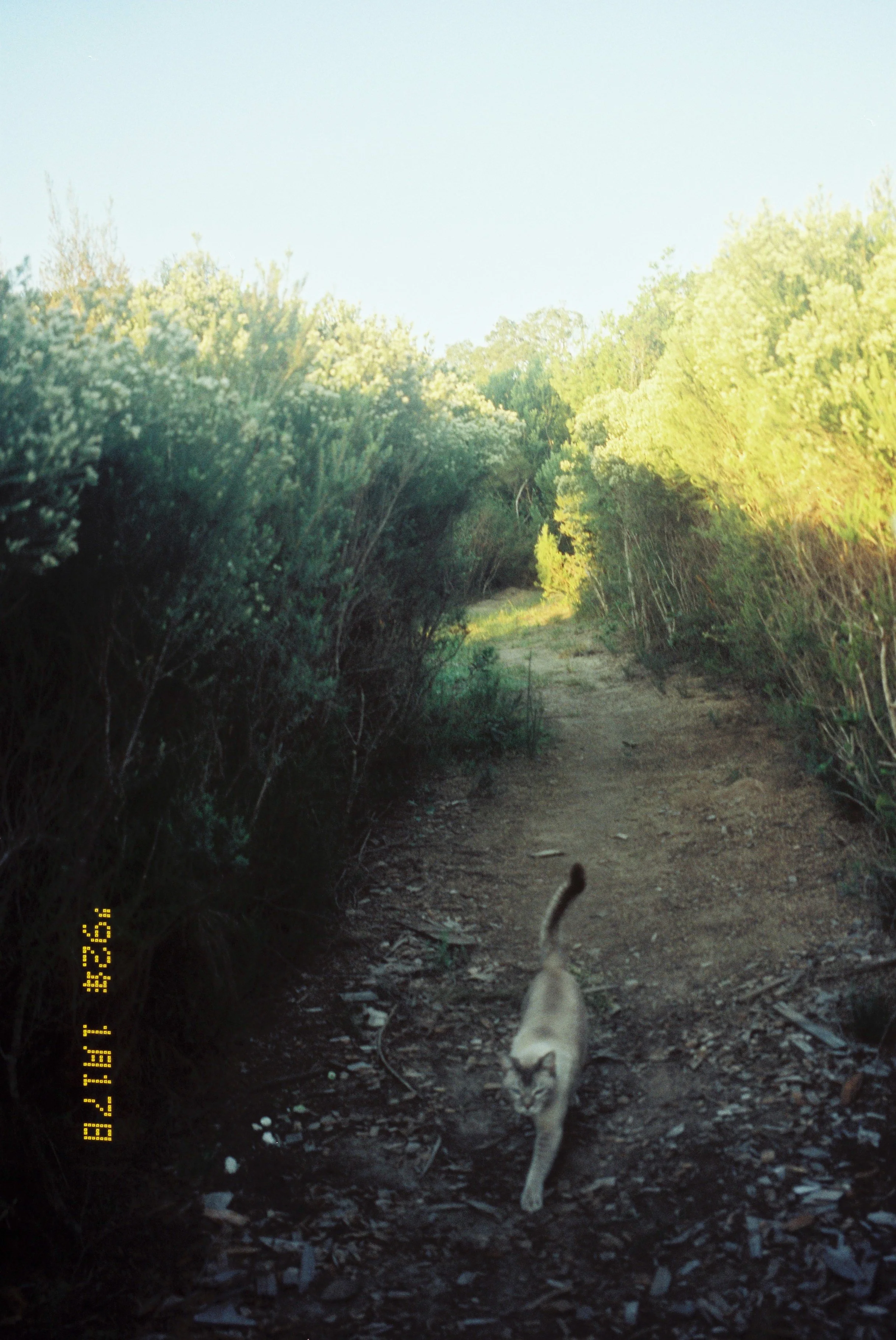 sammy_0886_00036.JPG