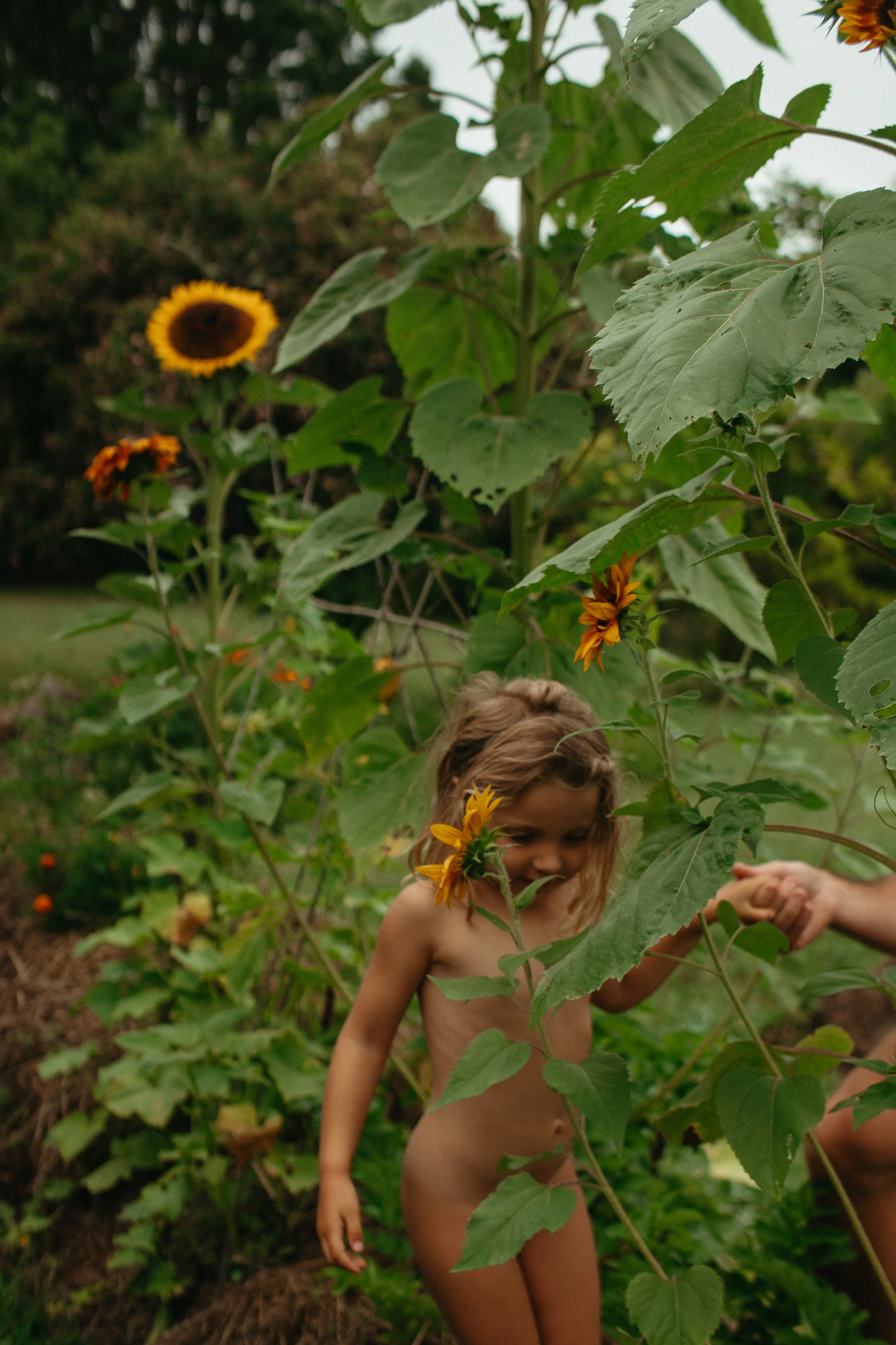 Naked girl in the garden with the sunflowers