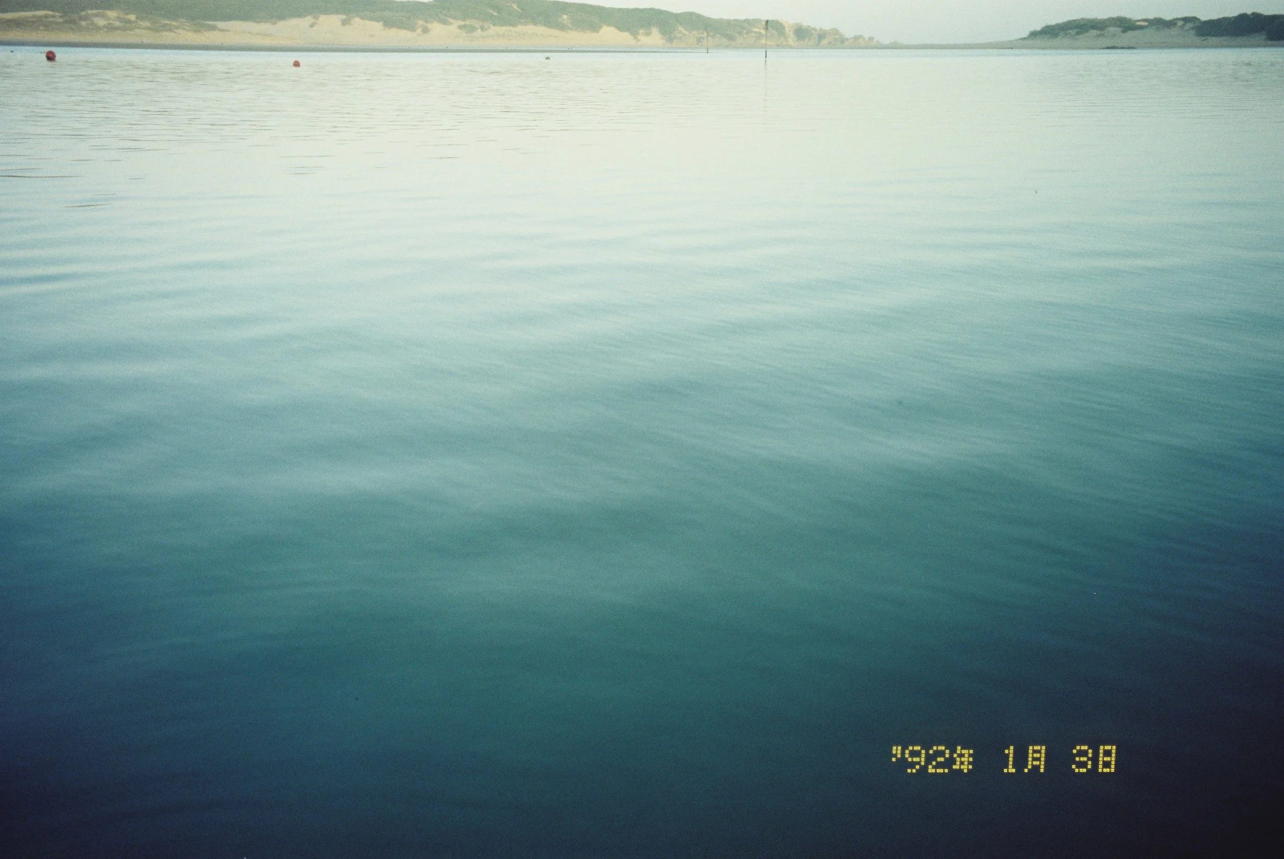 sammy_0886_00004.JPG