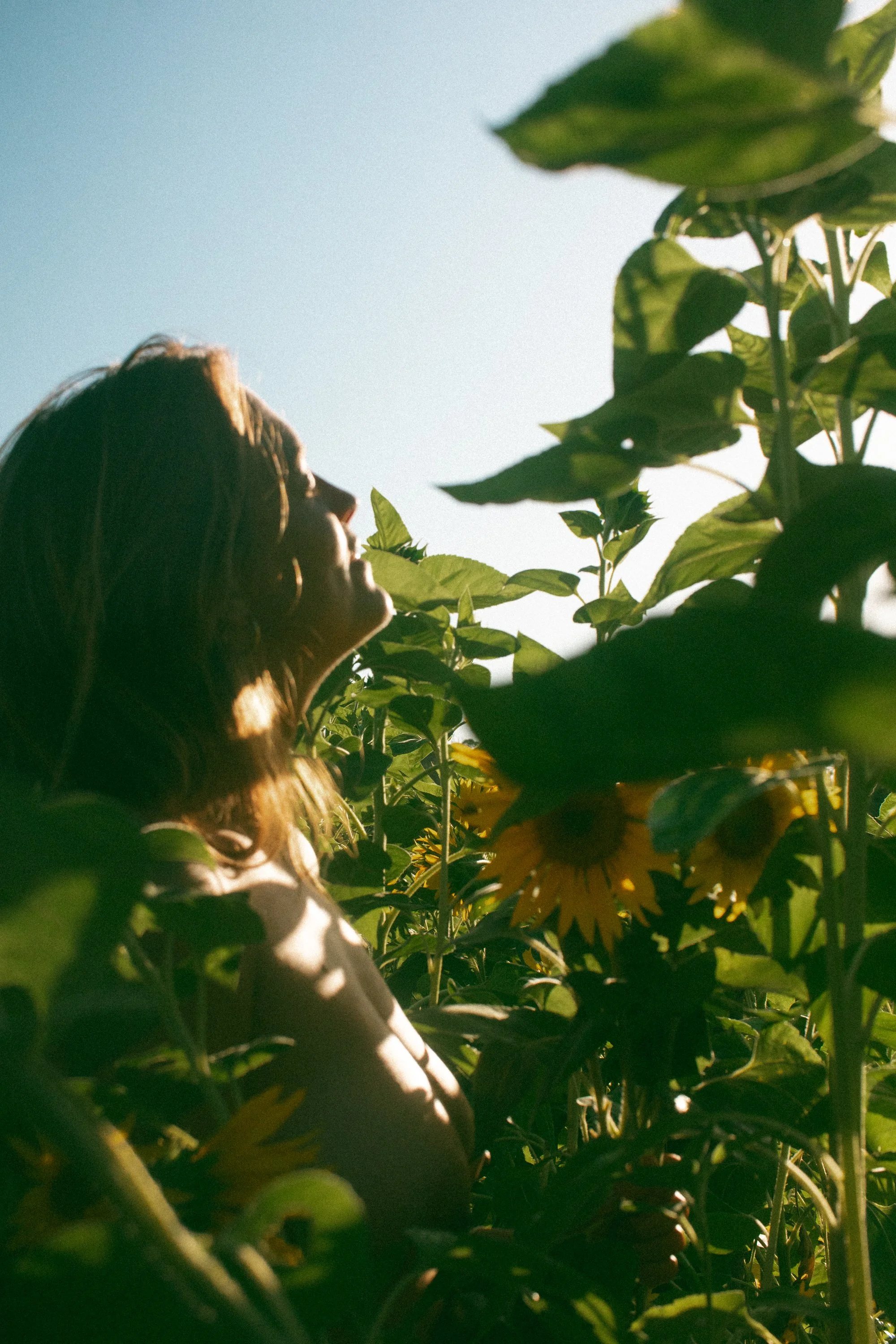 Layla Sunflowers-181.jpg