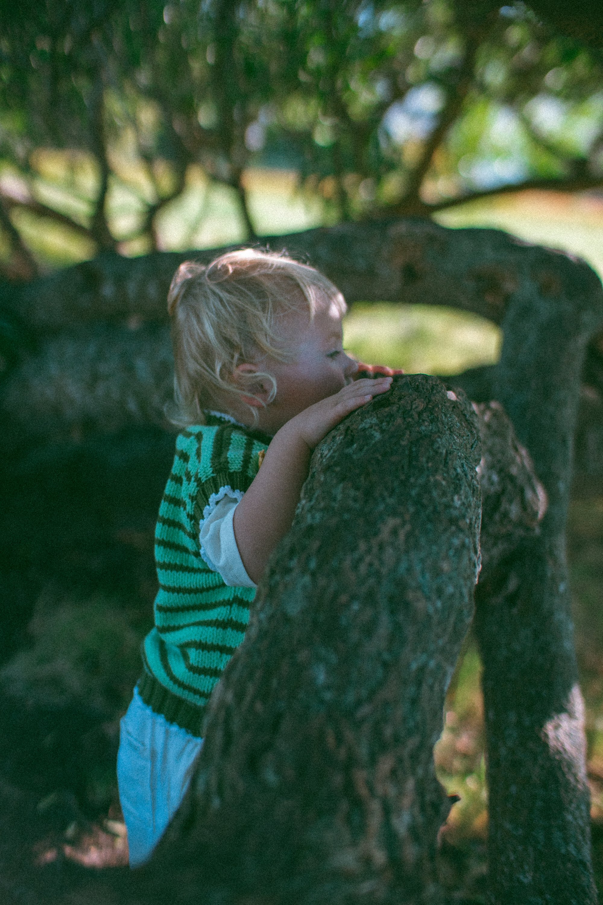 fresh threads_film edits-06.jpg
