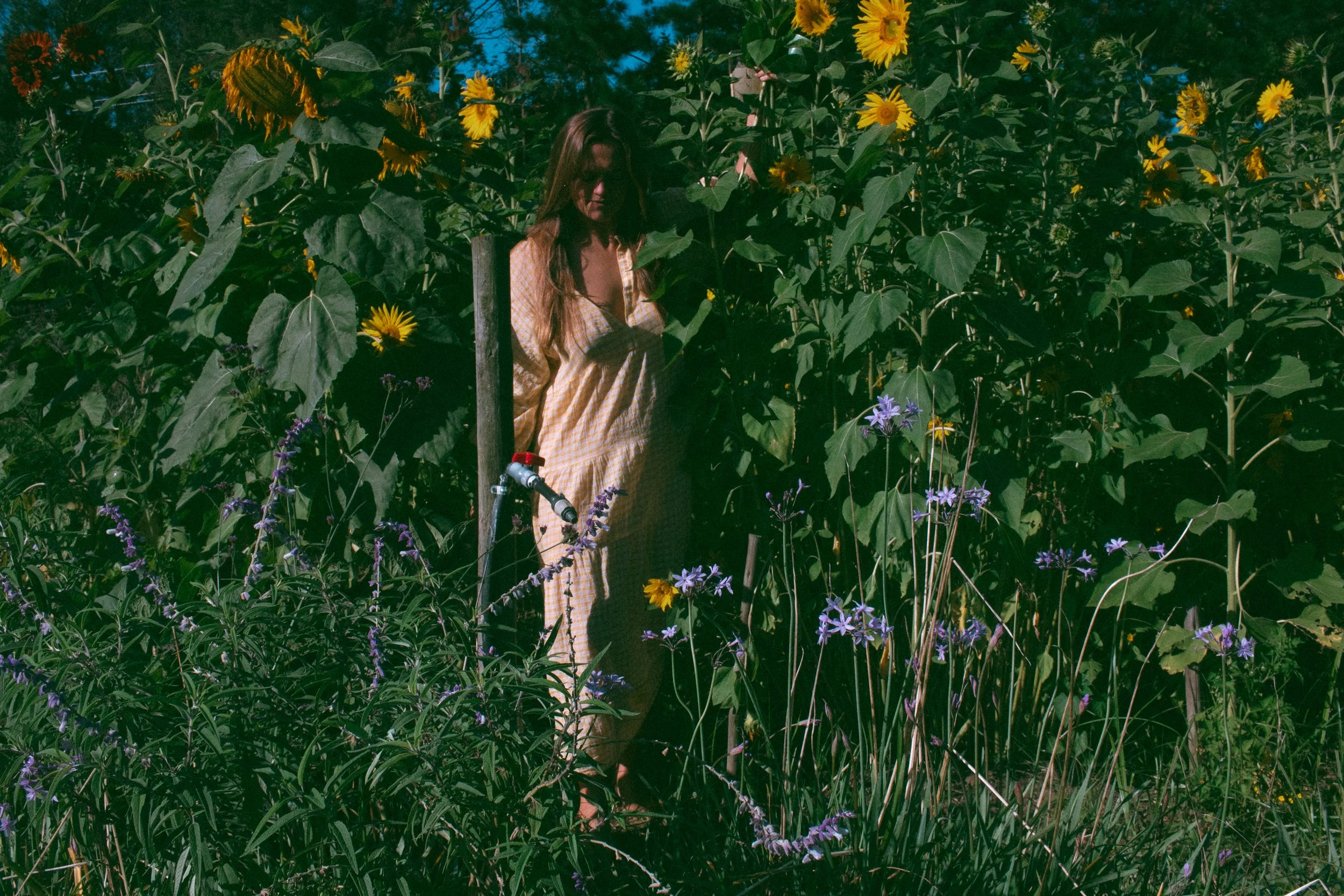 Layla Sunflowers-115.jpg