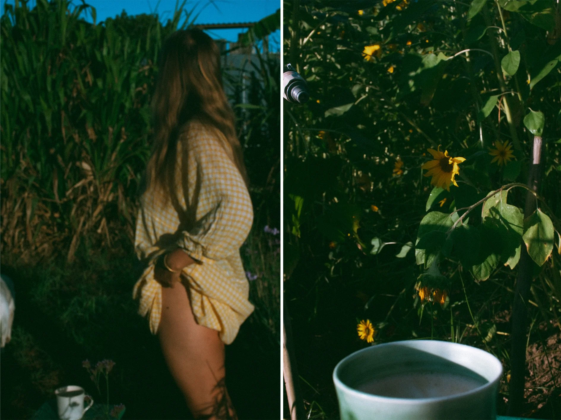 Layla Sunflowers_5.jpg