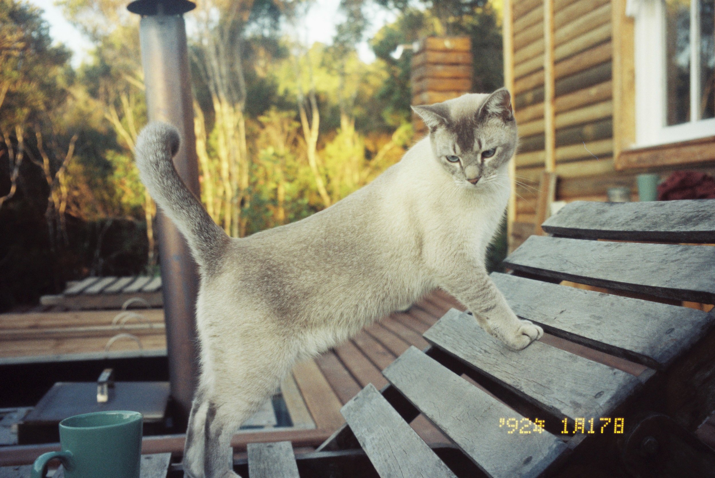 sammy_0886_00037.JPG