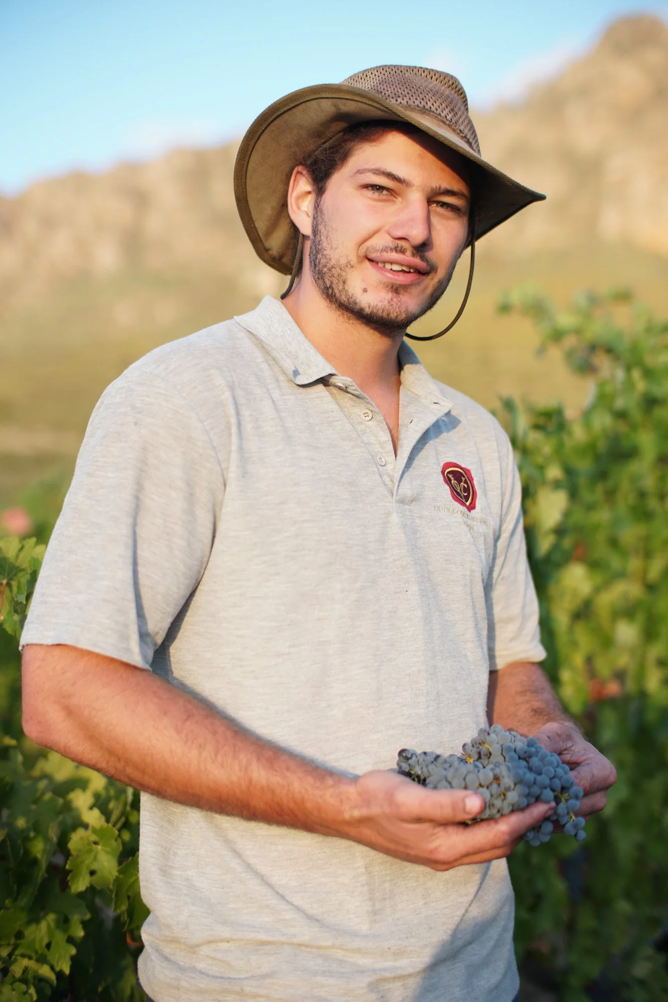 Swanepoel wines-1.jpg