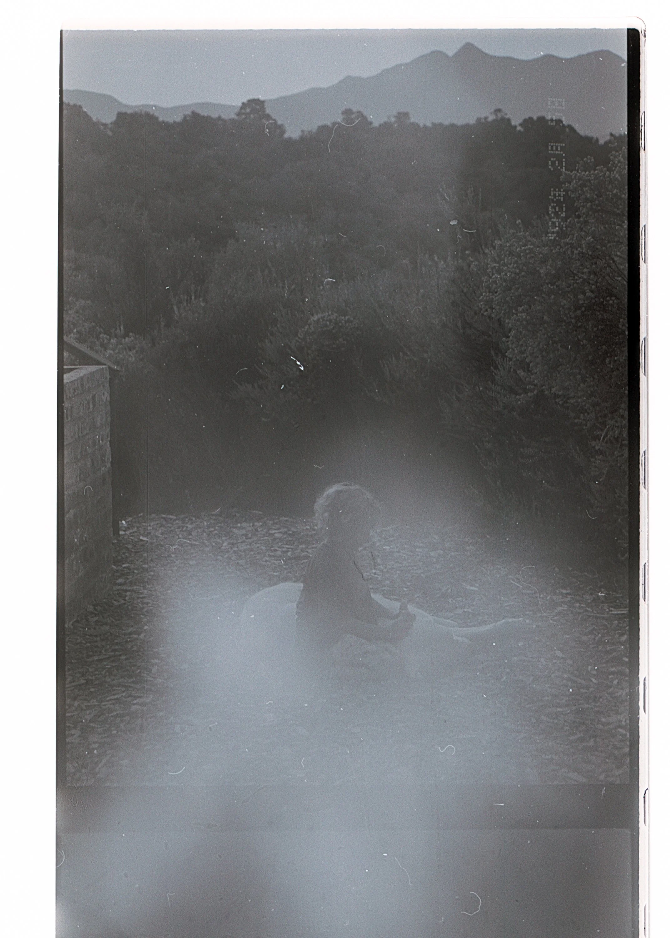 may 2025 film scans-30.jpg