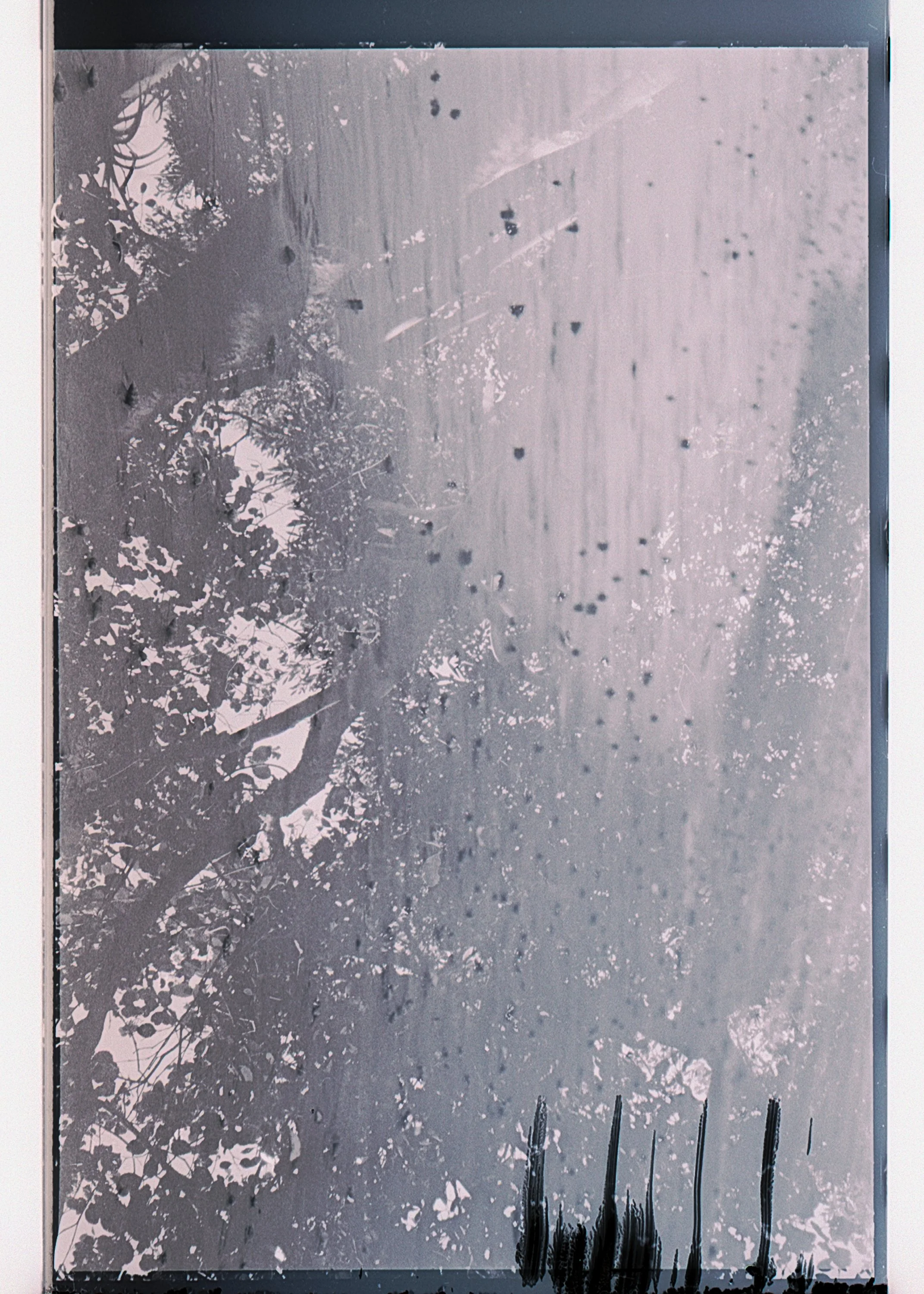 black and white film scans-17.jpg