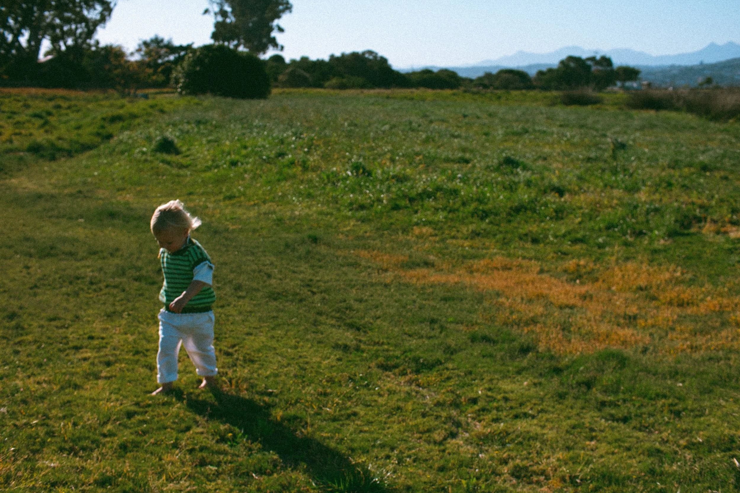 fresh threads_film edits-04.jpg