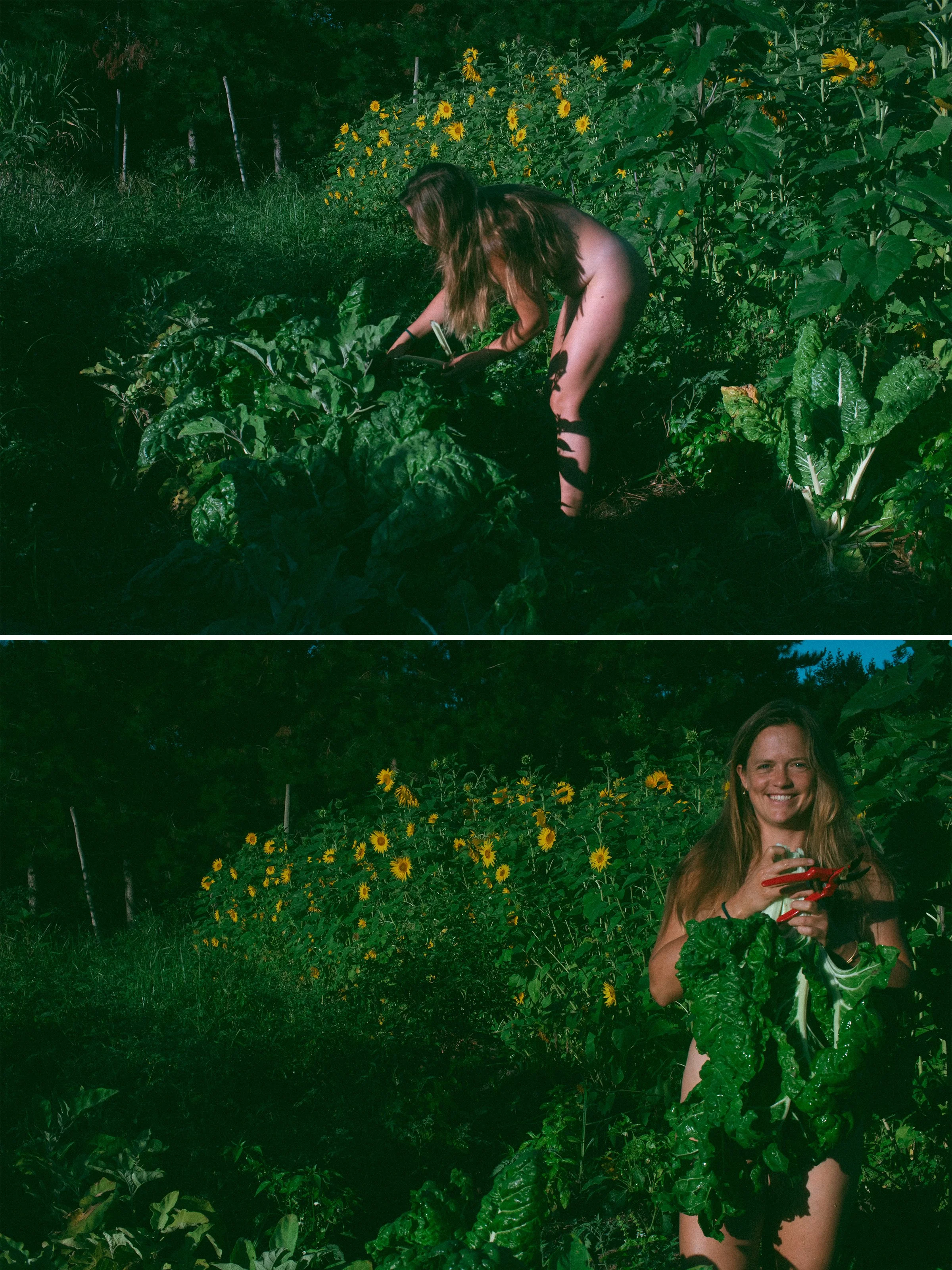 Layla Sunflowers_8.jpg