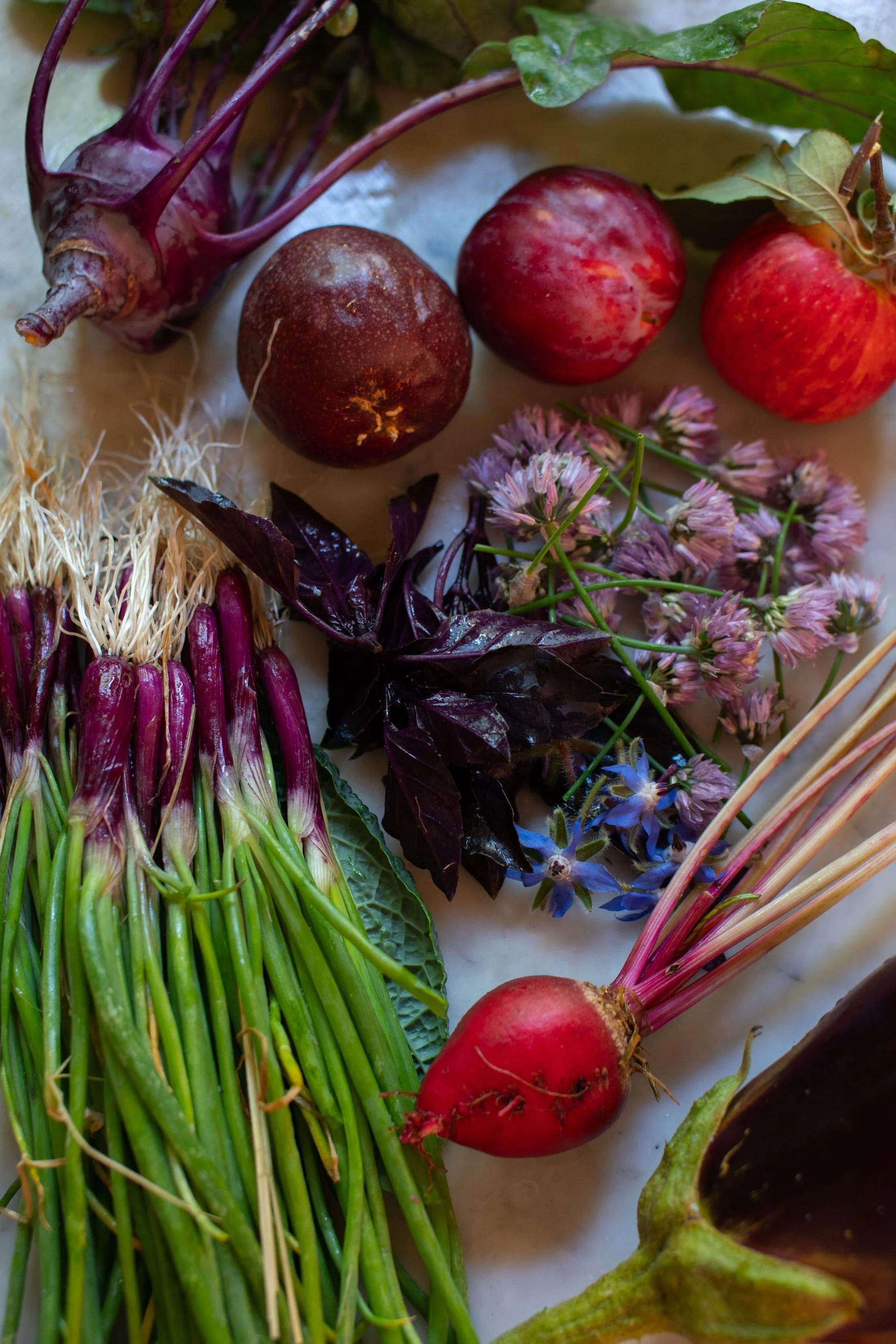 wanderlust kitchen-3.jpg