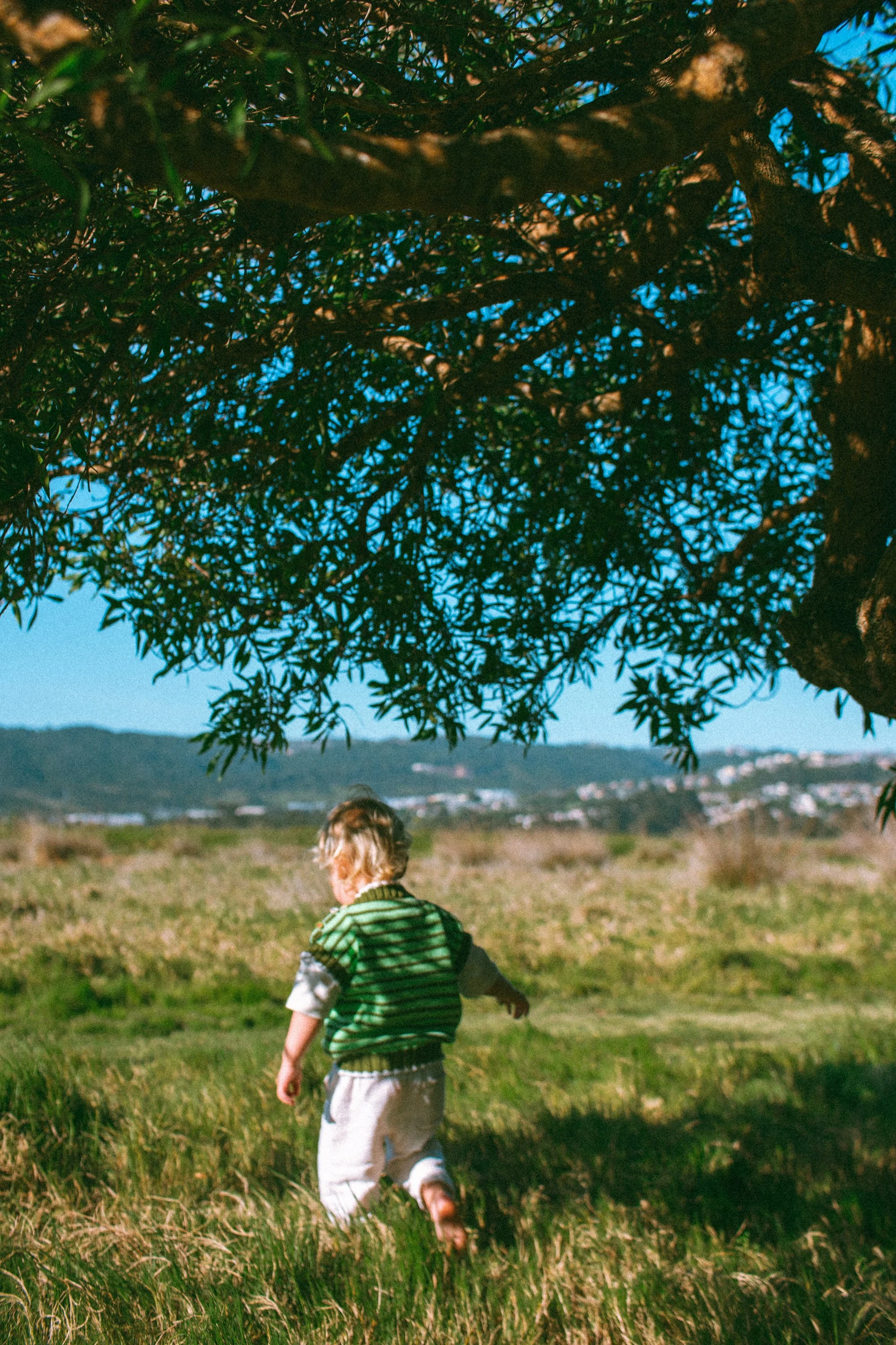 fresh threads_film edits-05.jpg
