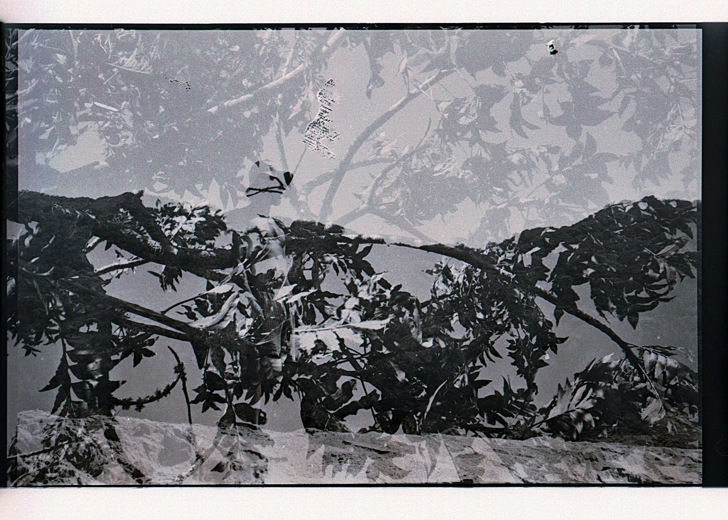 black and white film scans-11.jpg