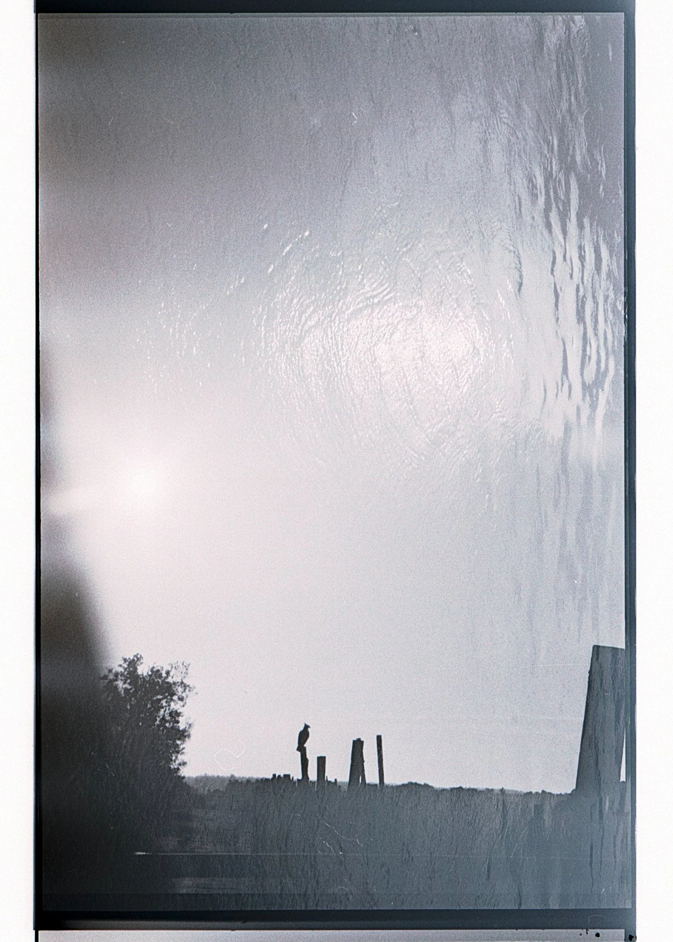 black and white film scans-04.jpg