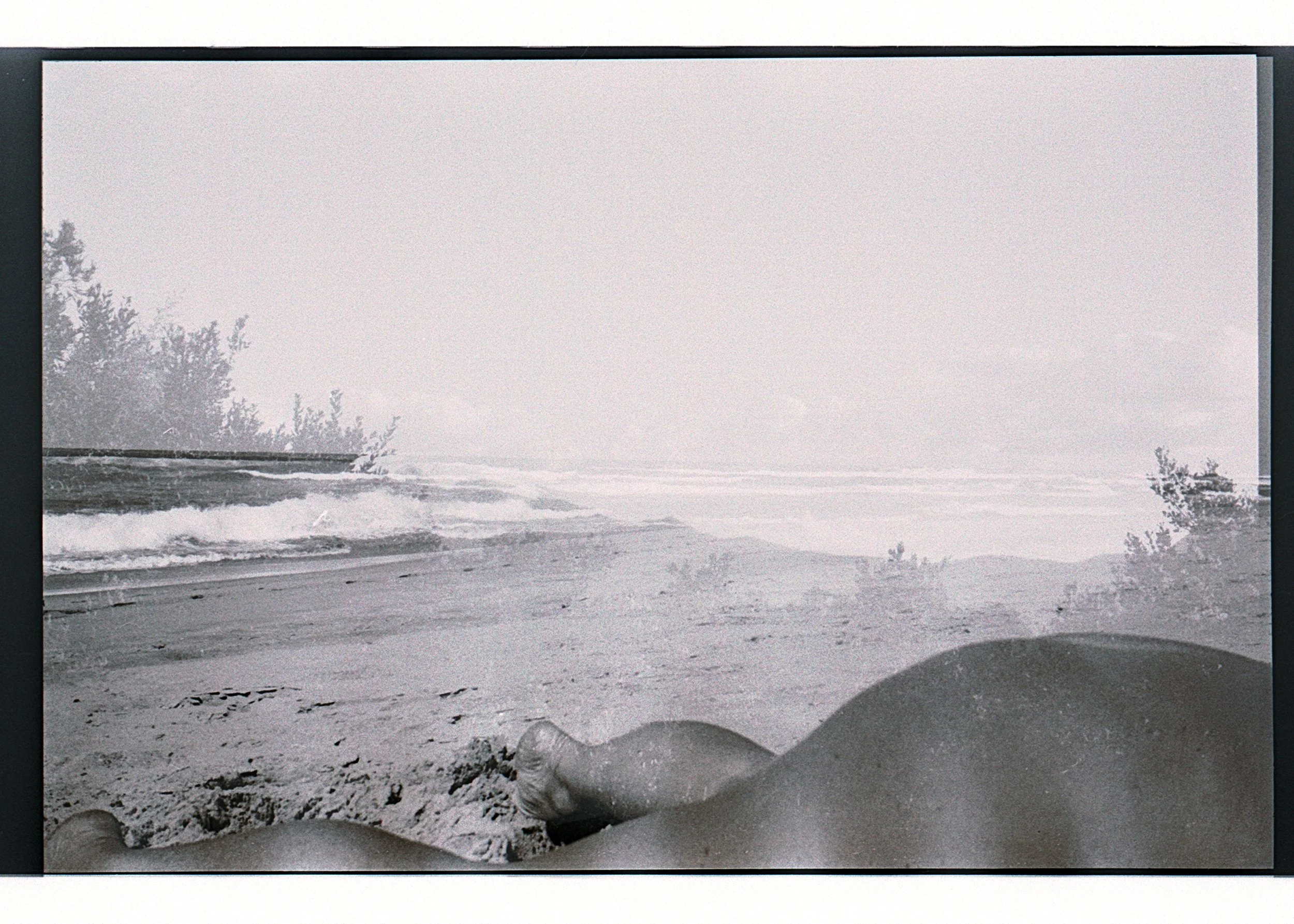 black and white film scans-09.jpg