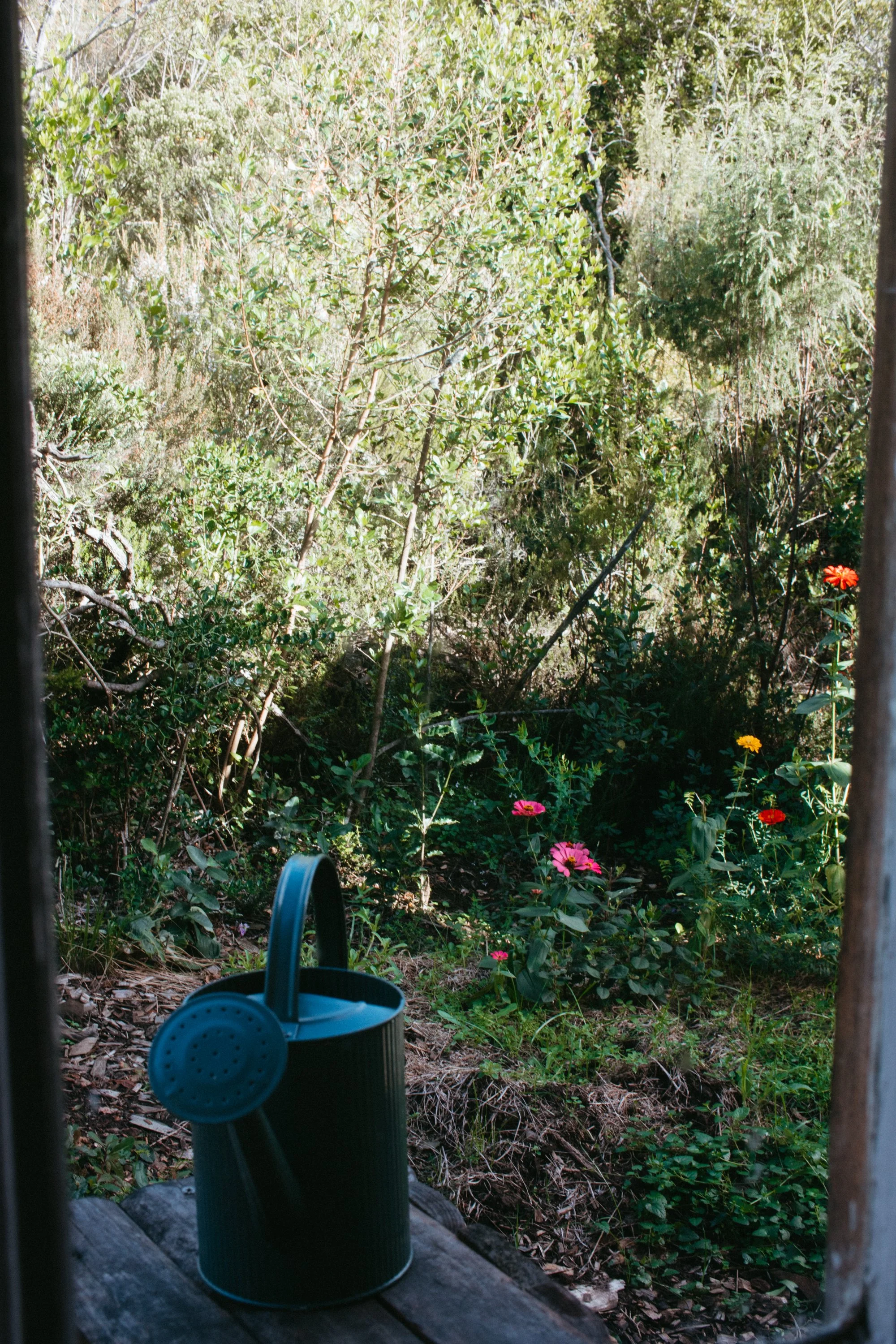 El Sueno-24.jpg