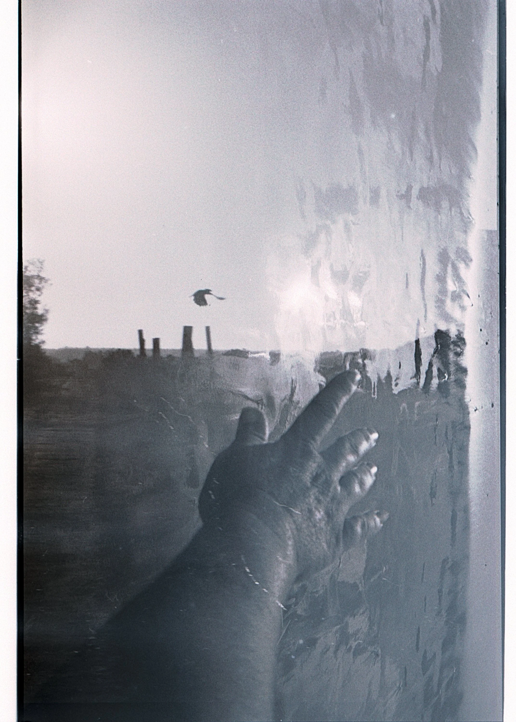 black and white film scans-03.jpg