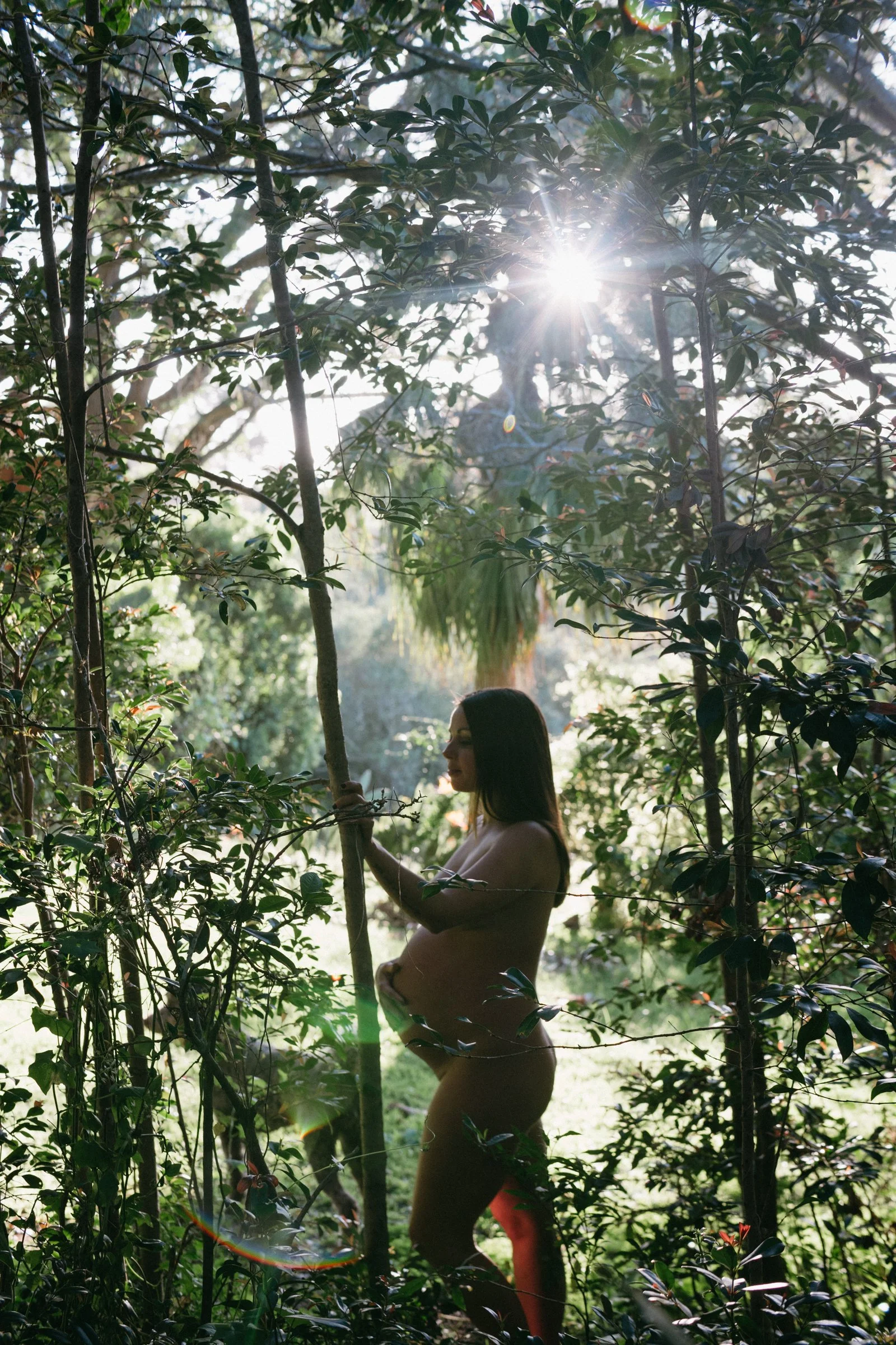 Naked pregnant woman in the forest.