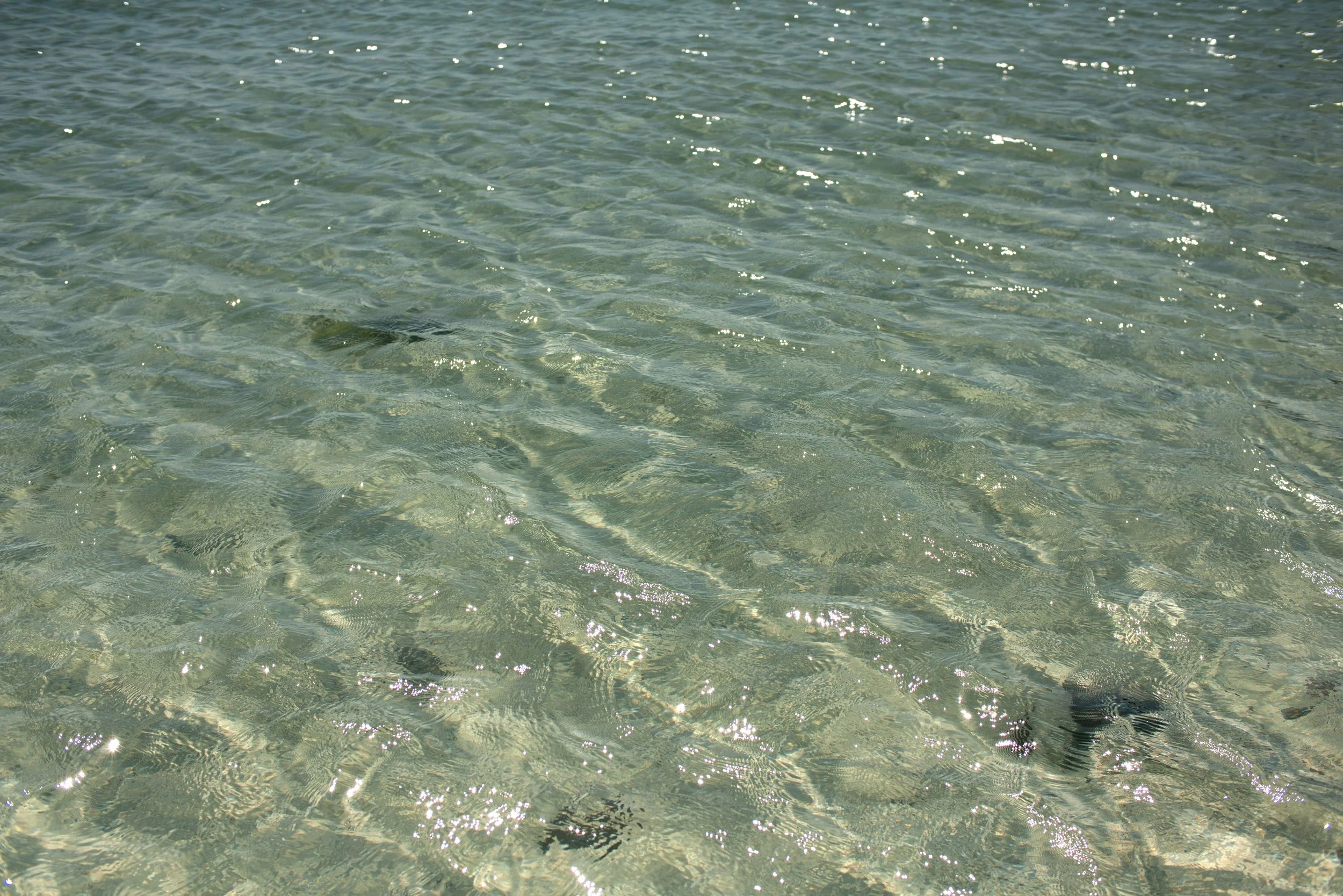 travel_baja_turquoise ocean.jpg