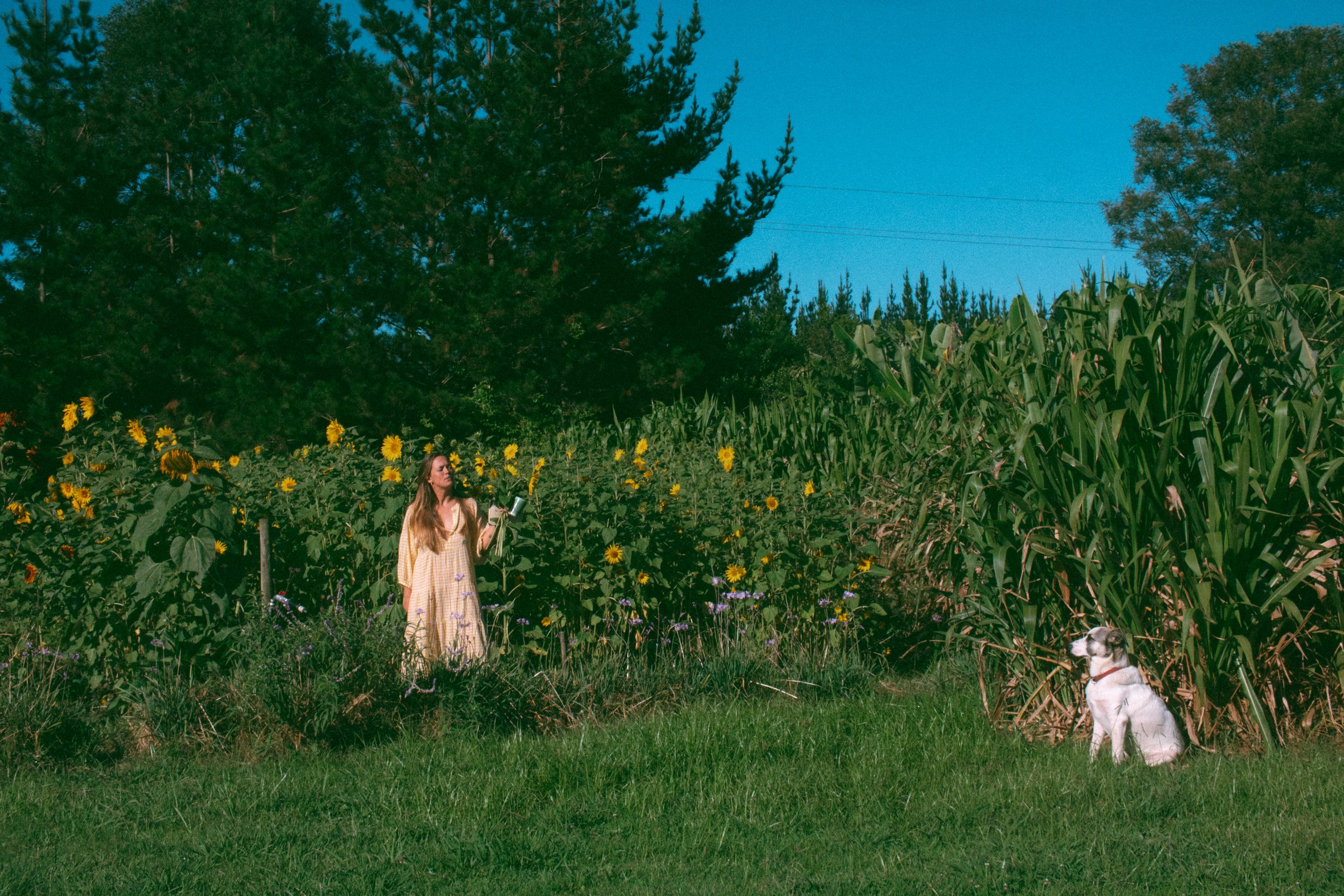 Layla Sunflowers-122.jpg