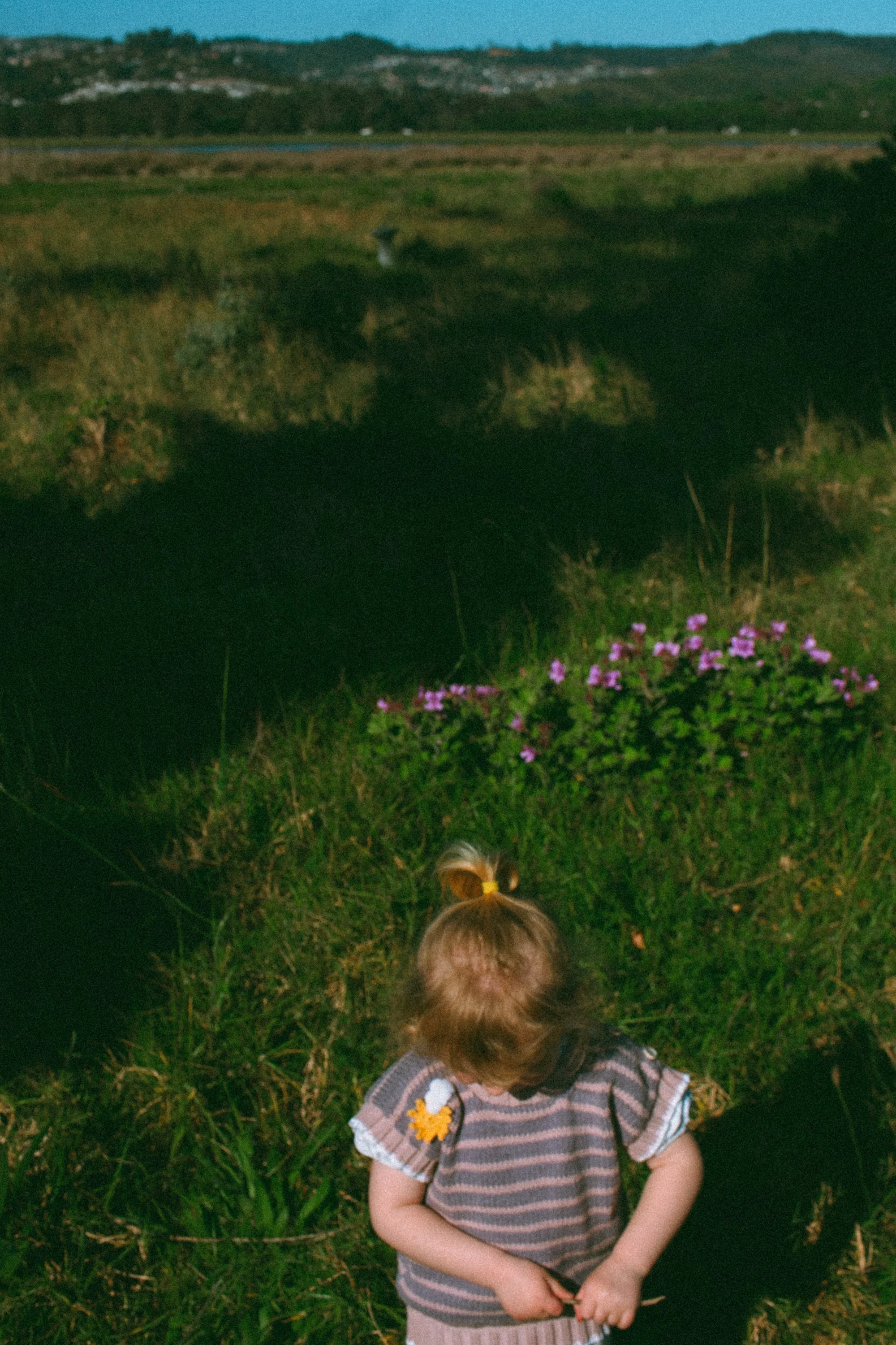 fresh threads_film edits-01.jpg