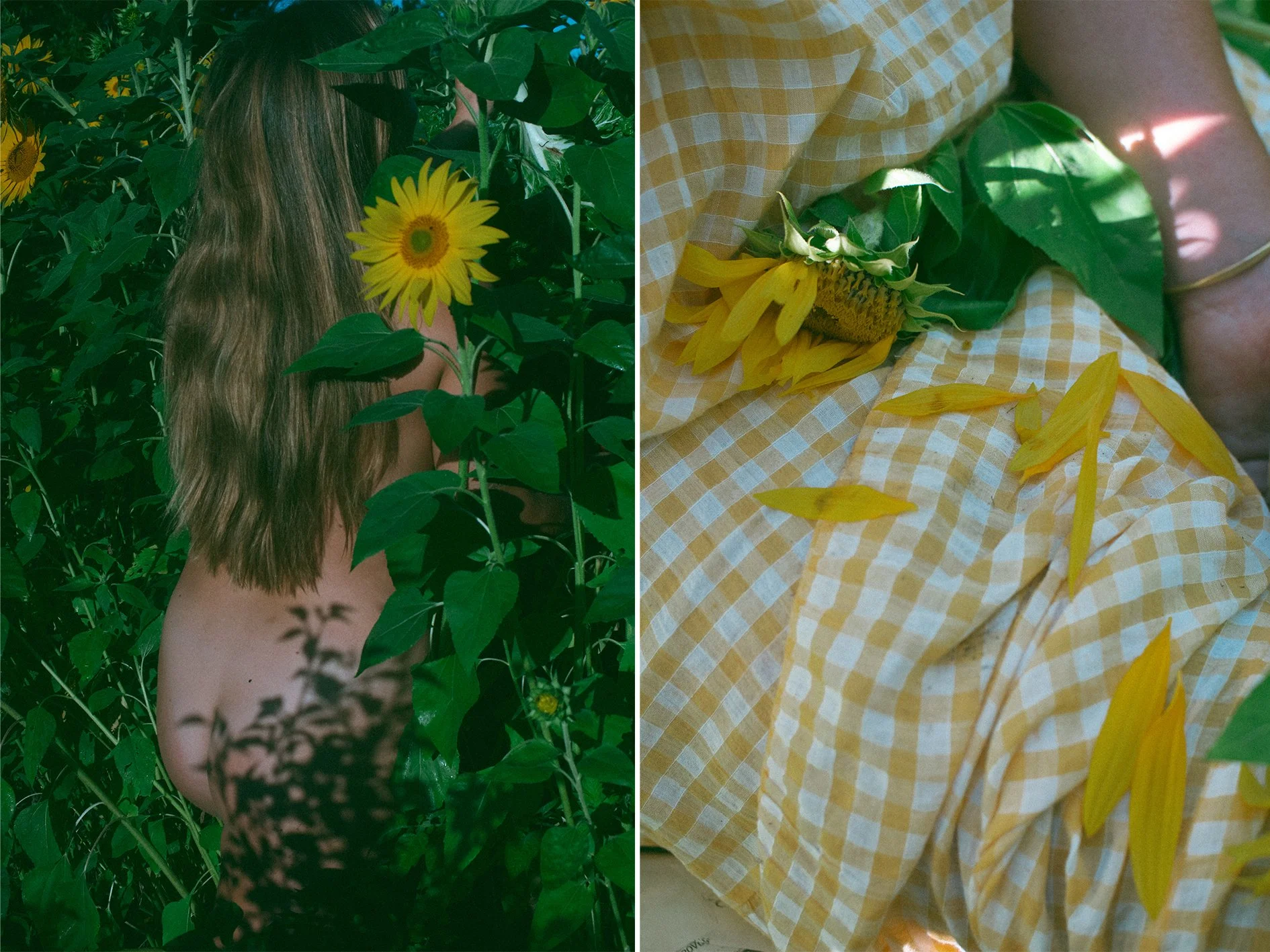 Layla and her Sunflowers.jpg