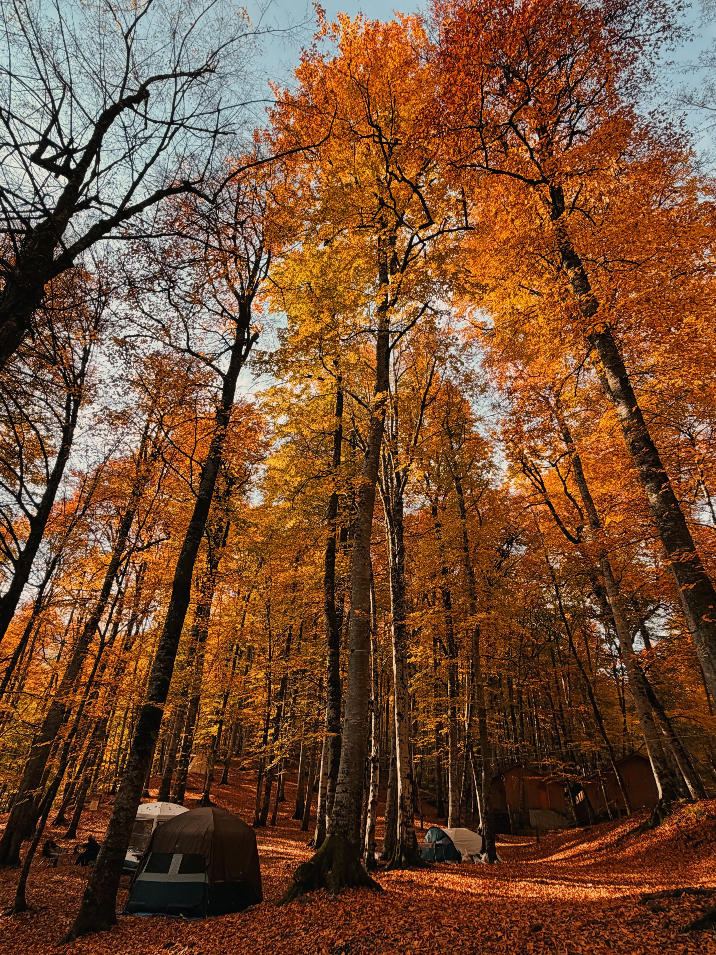 We were not meant to live this way.