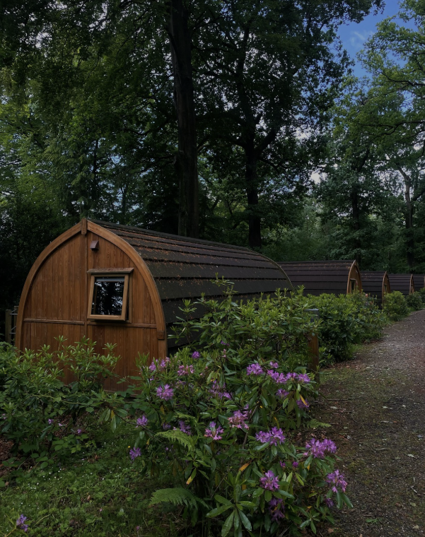 Please Don’t Make Offline an Aesthetic